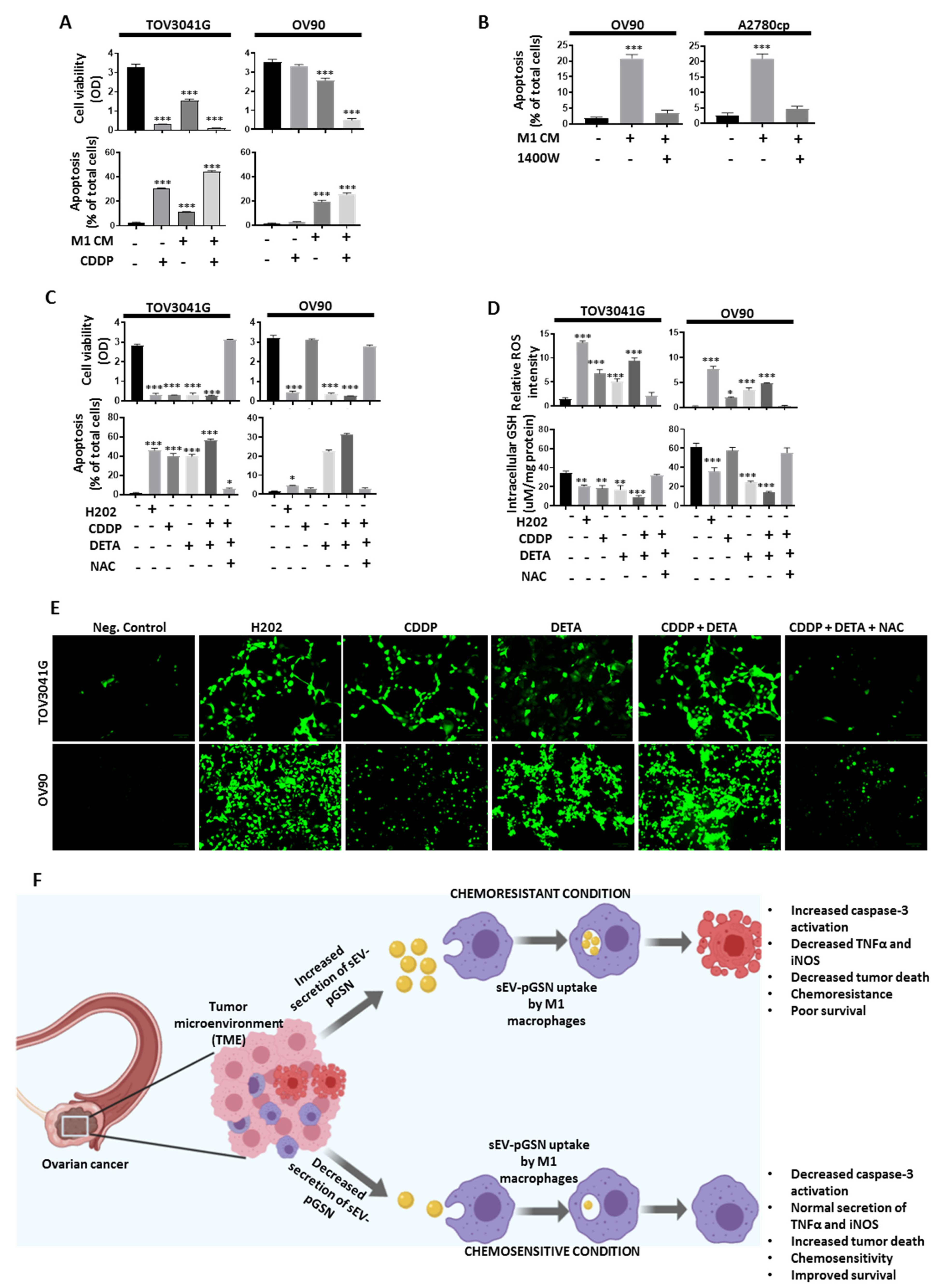Cancers 14 01039 g005