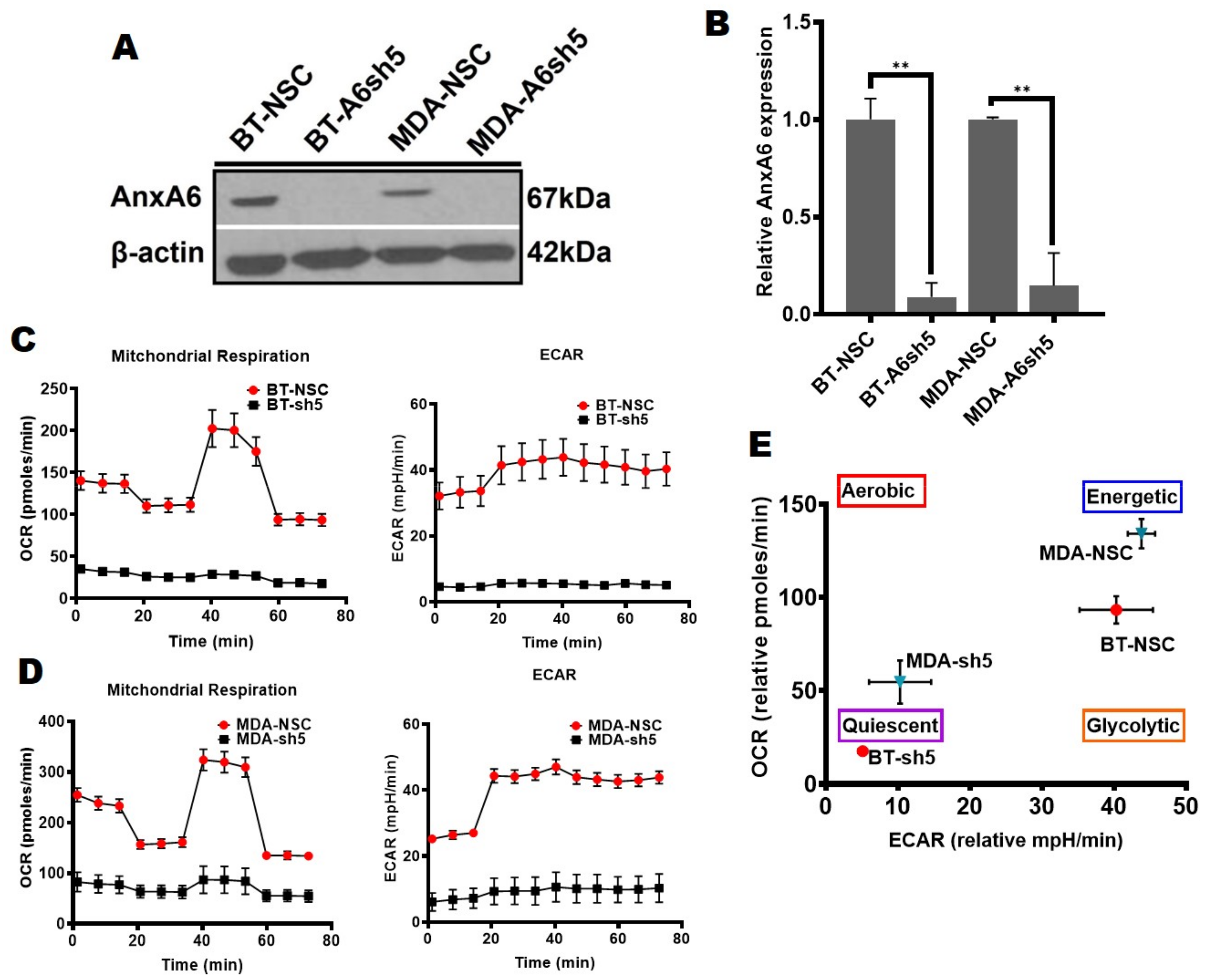 Cancers 14 01108 g001