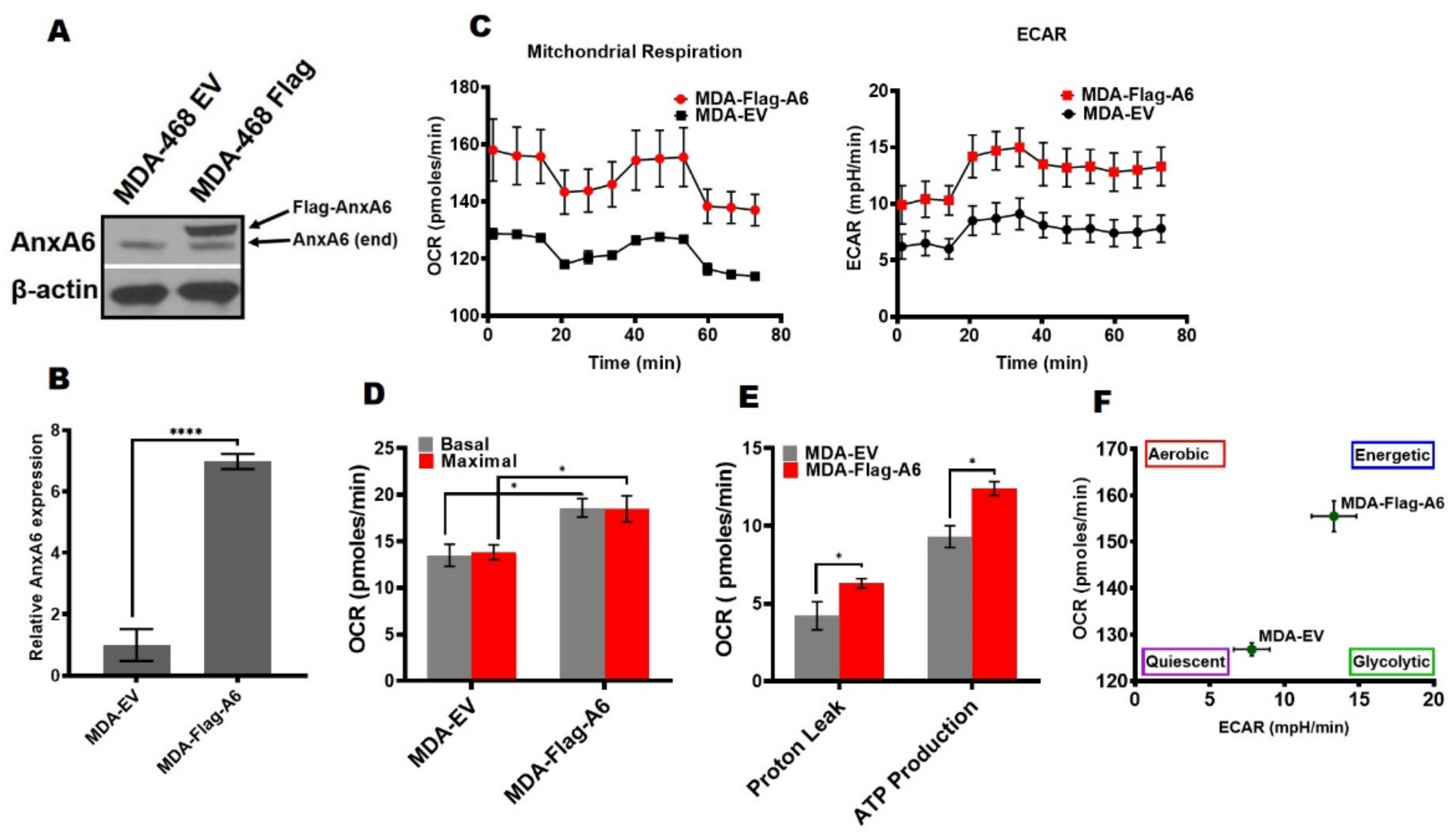Cancers 14 01108 g002
