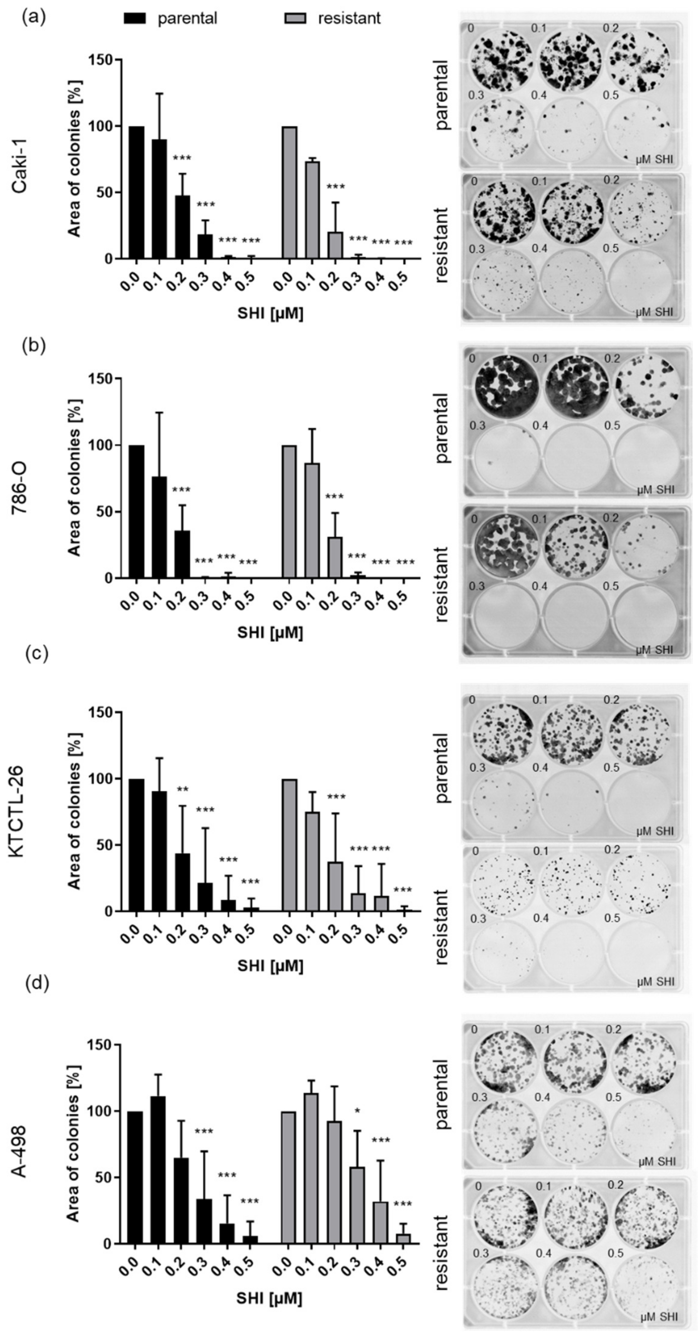 Cancers 14 01114 g002 Cancers 14 01114 g002