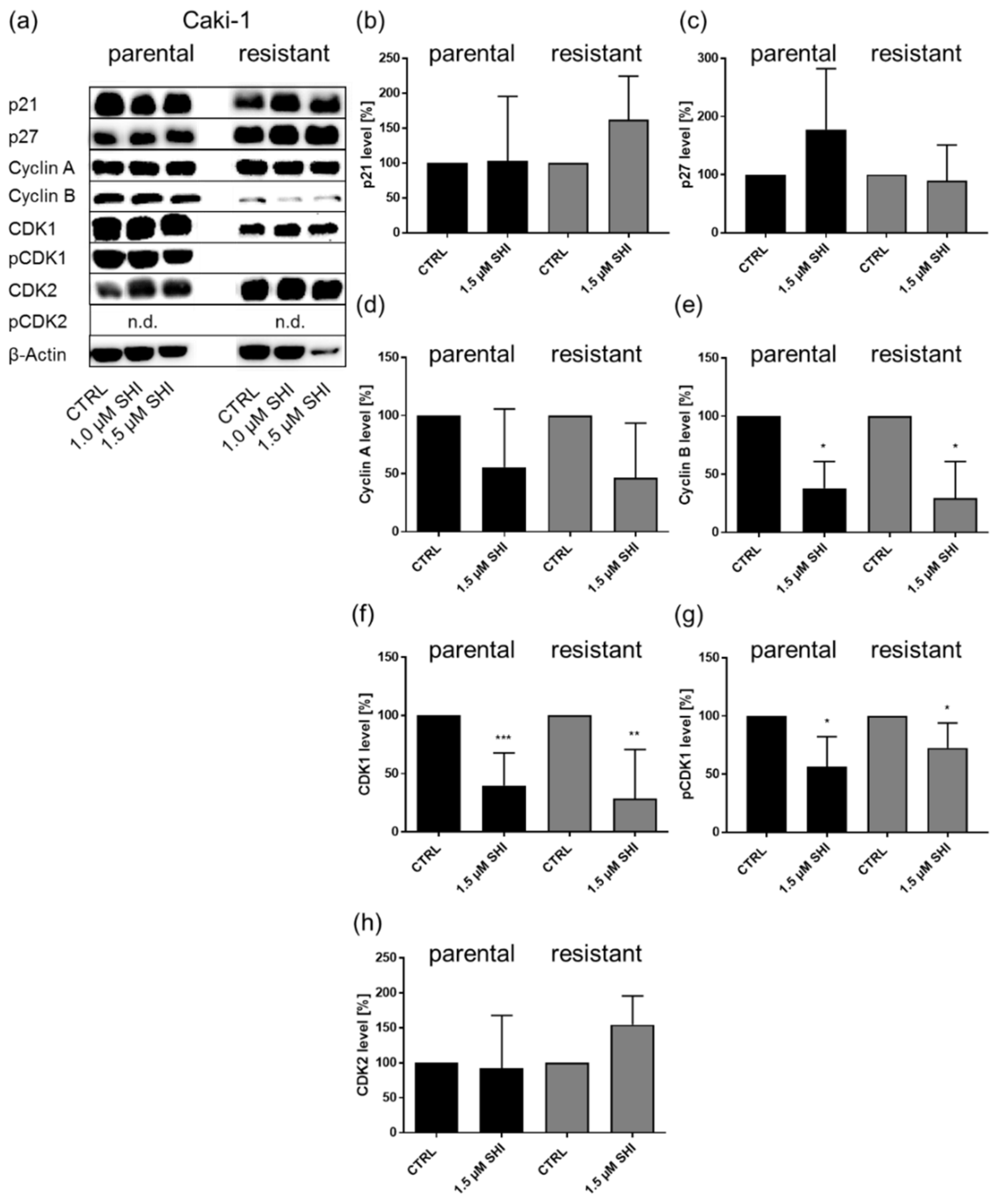Cancers 14 01114 g004 Cancers 14 01114 g004