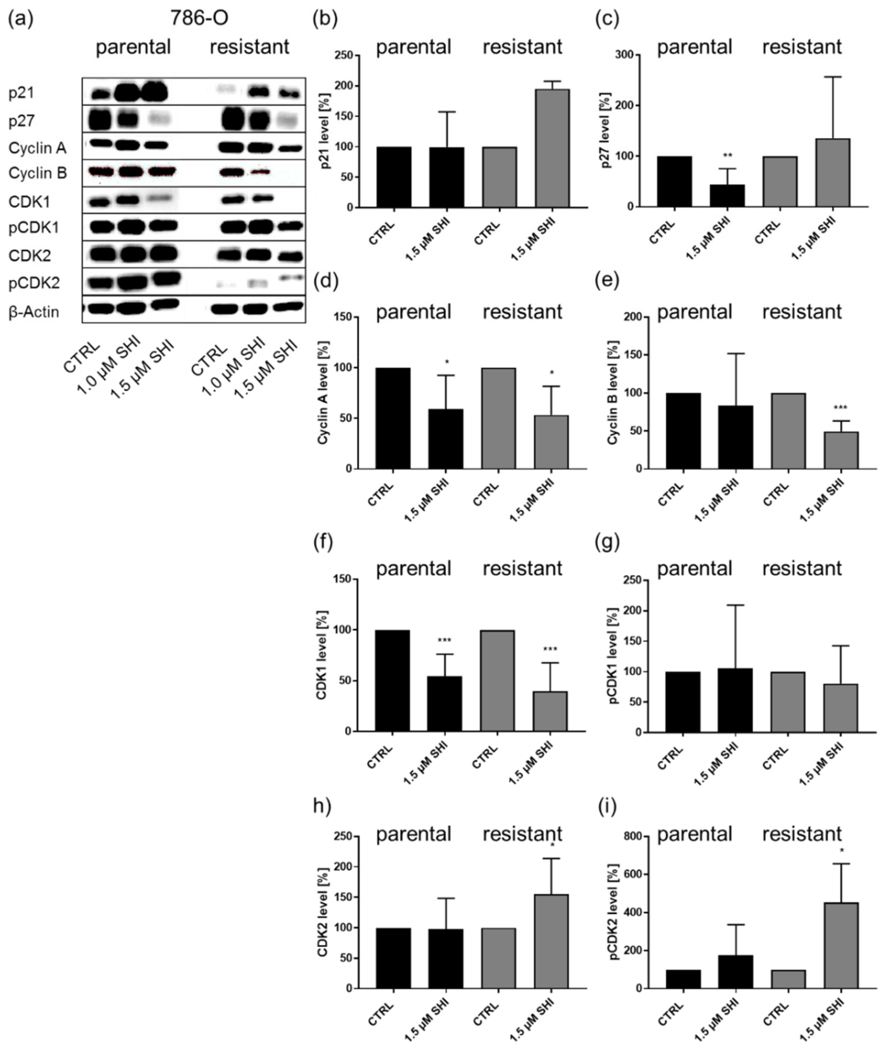 Cancers 14 01114 g005 Cancers 14 01114 g005