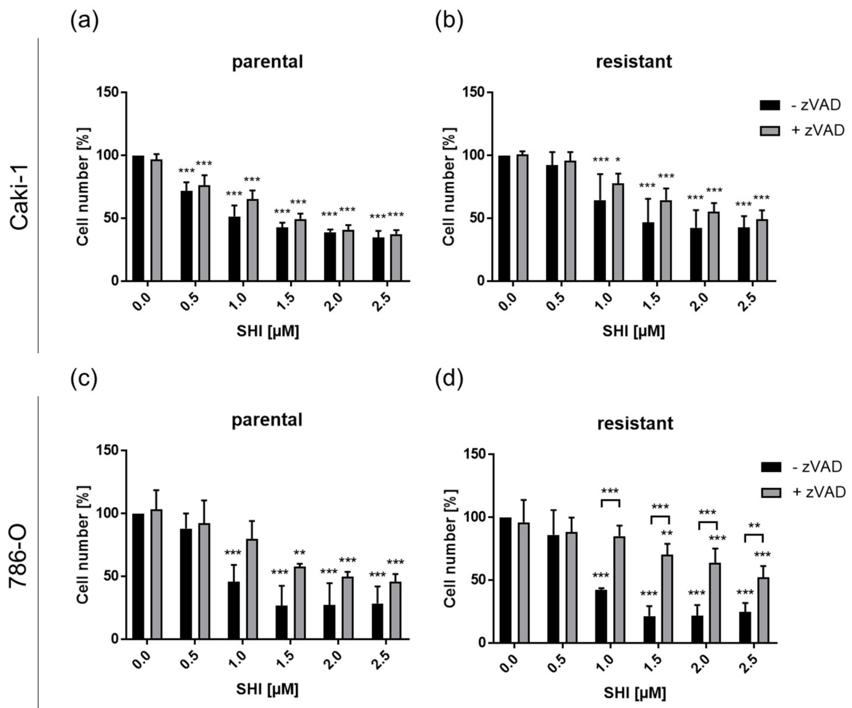 Cancers 14 01114 g008 Cancers 14 01114 g008