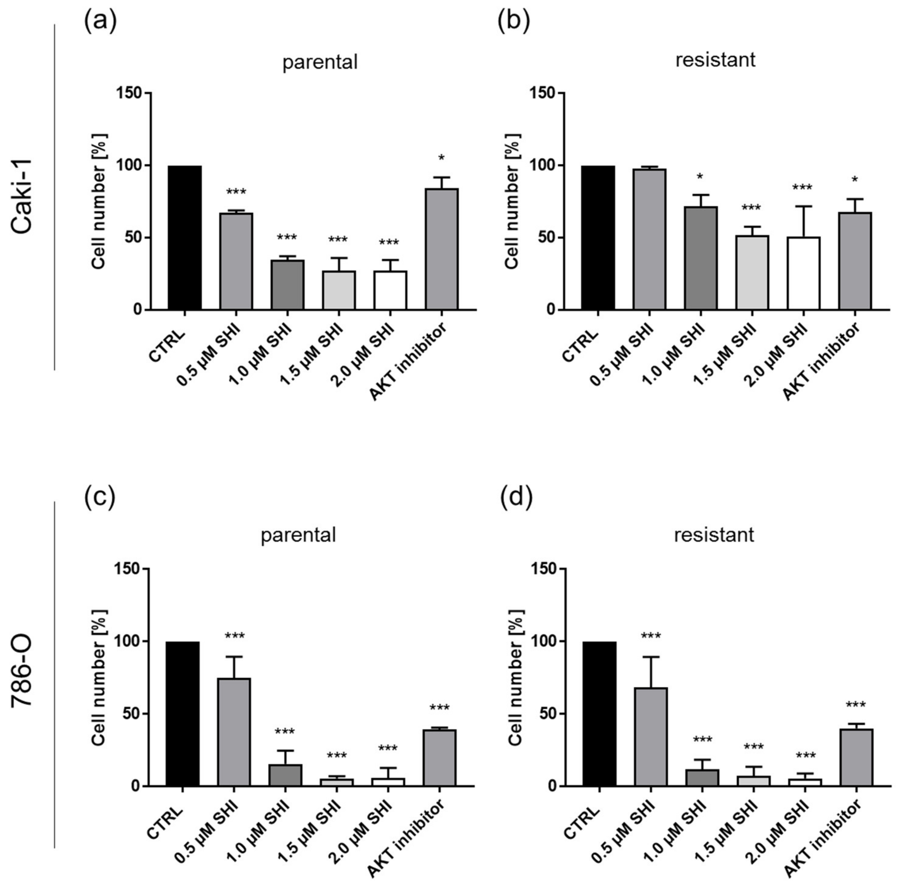 Cancers 14 01114 g012 Cancers 14 01114 g012