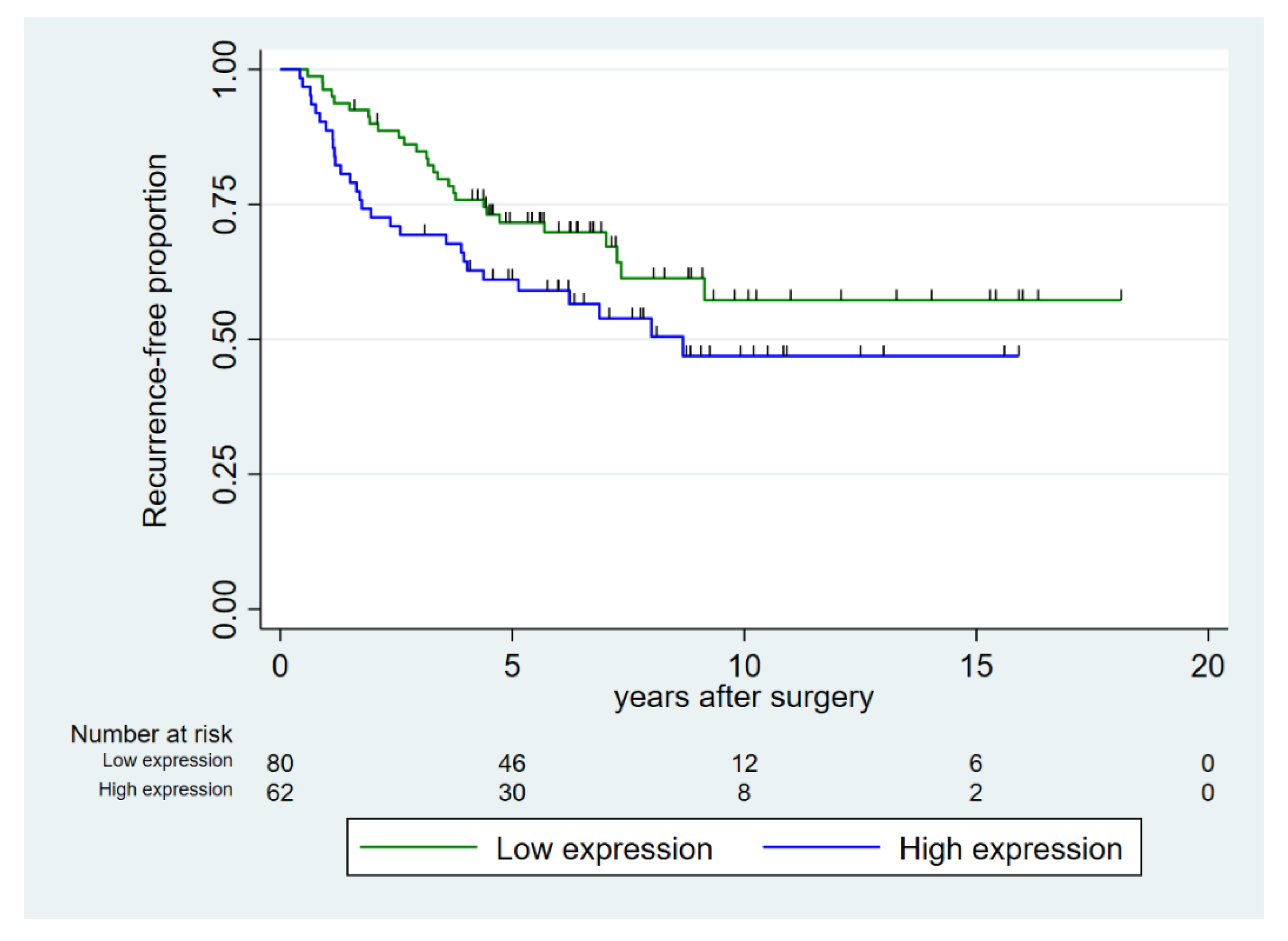 Cancers 14 01142 g002