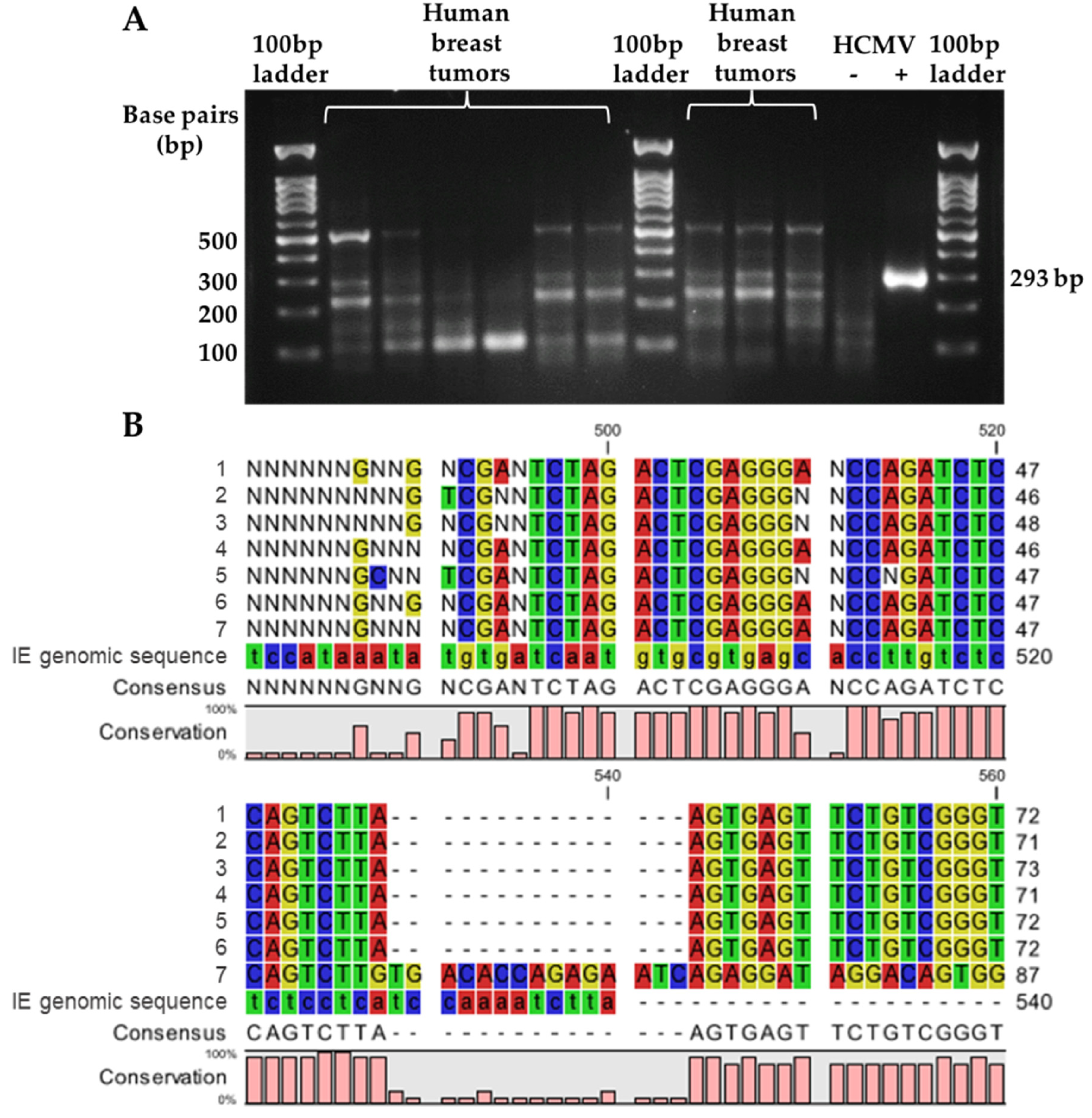 Cancers 14 01148 g003 Cancers 14 01148 g003