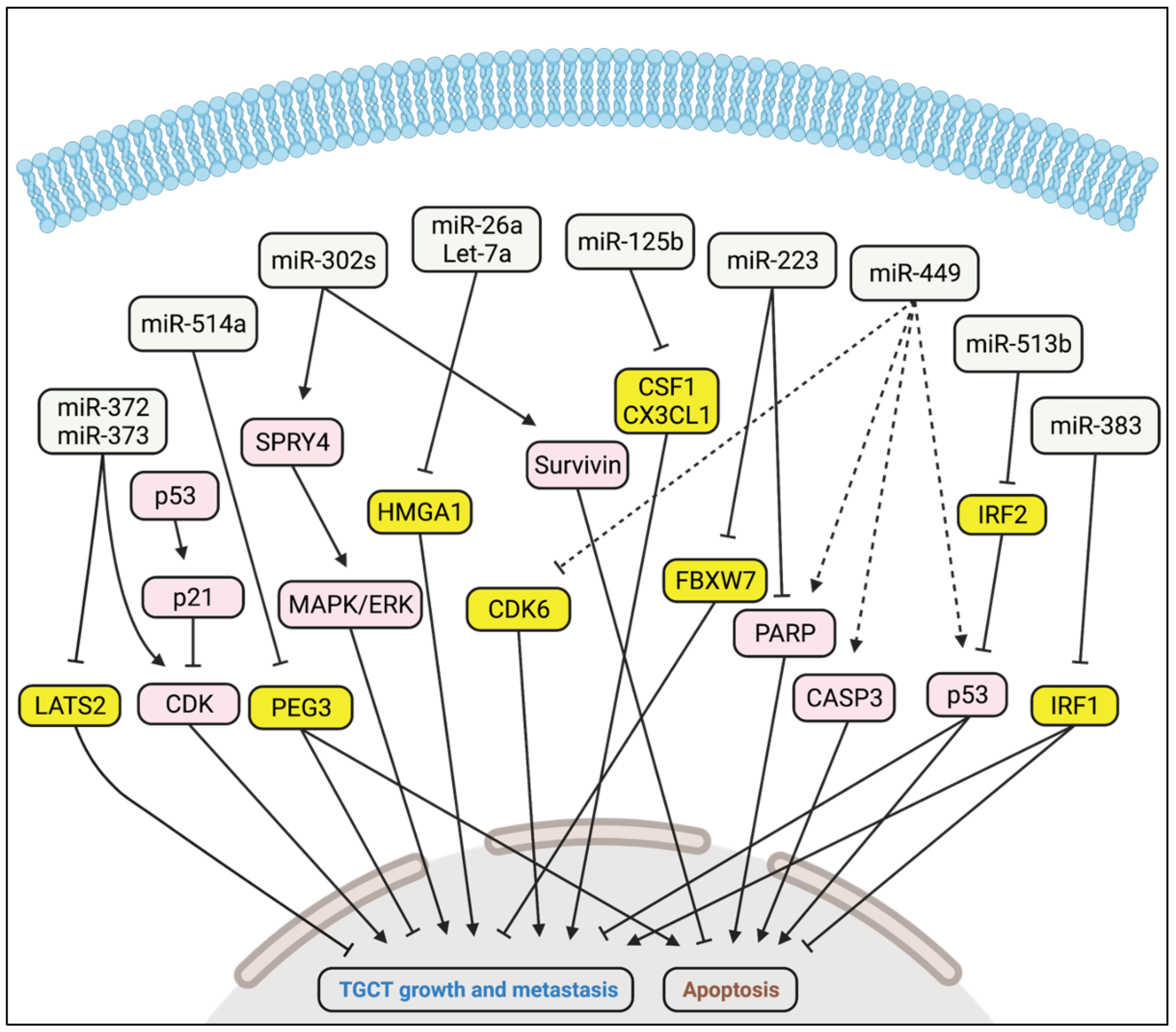 Cancers 14 01190 g003