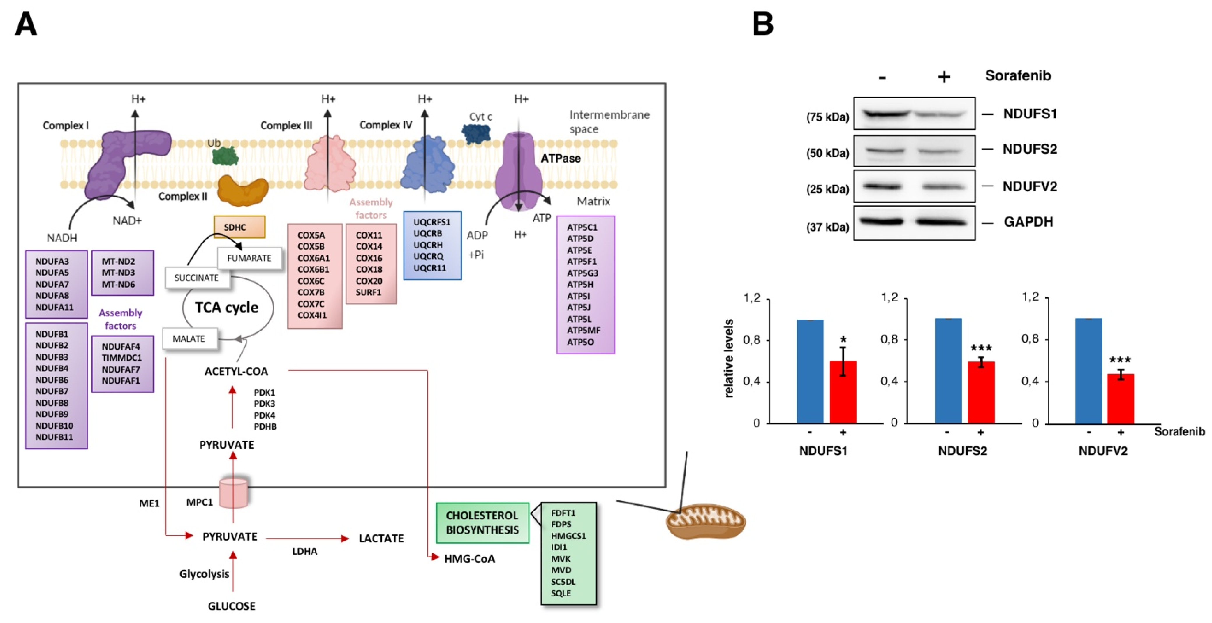Cancers 14 01204 g006