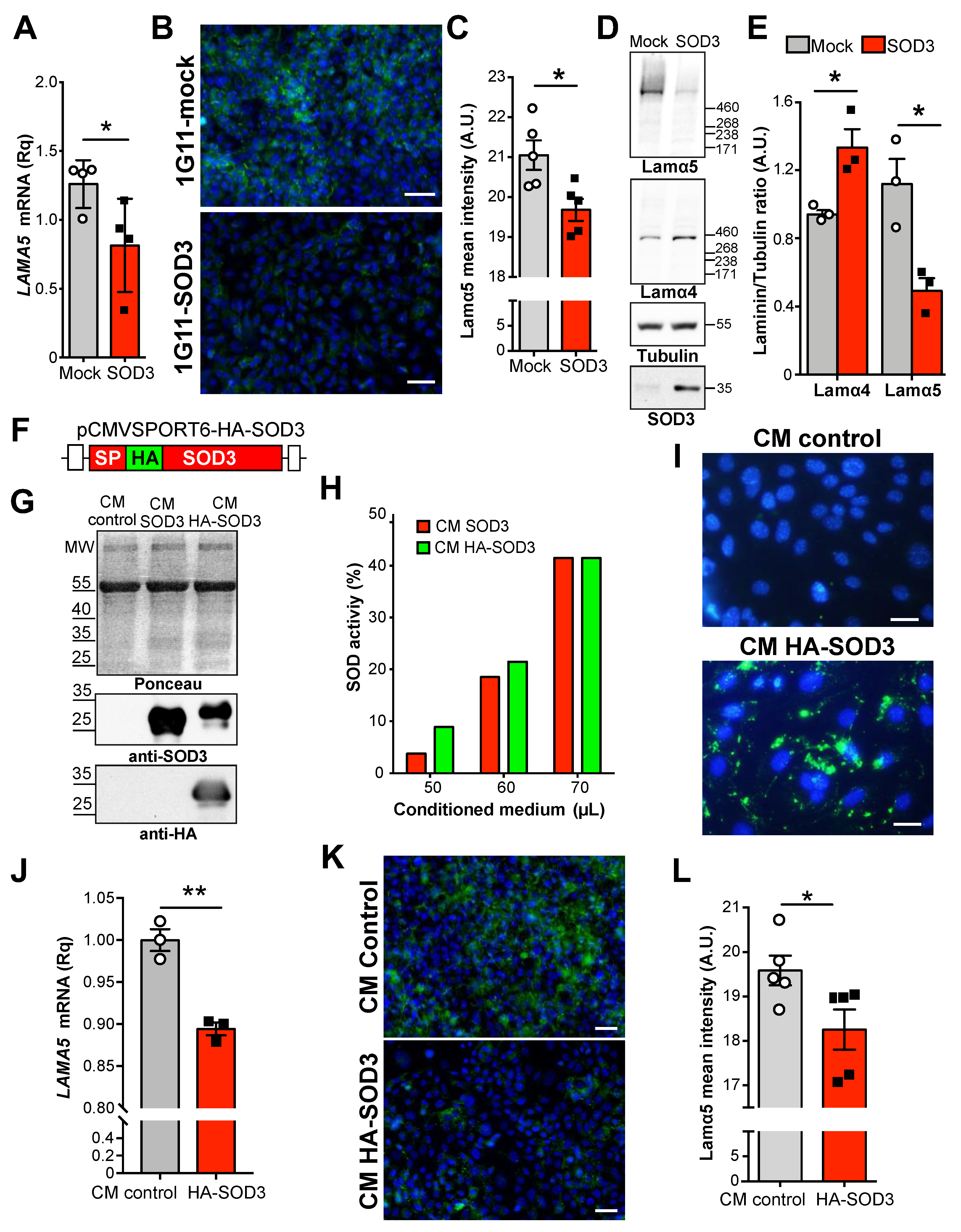 Cancers 14 01226 g002