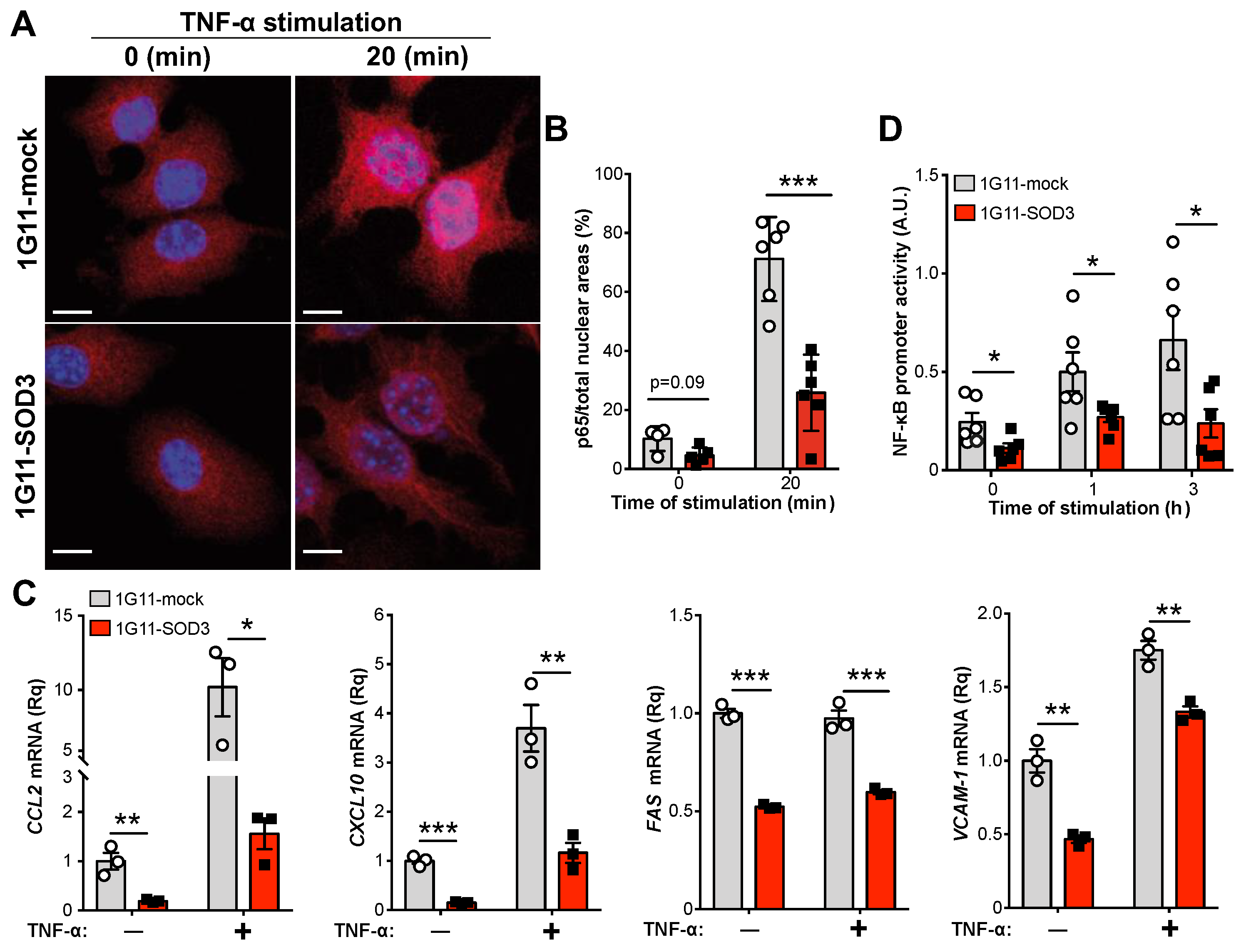 Cancers 14 01226 g005