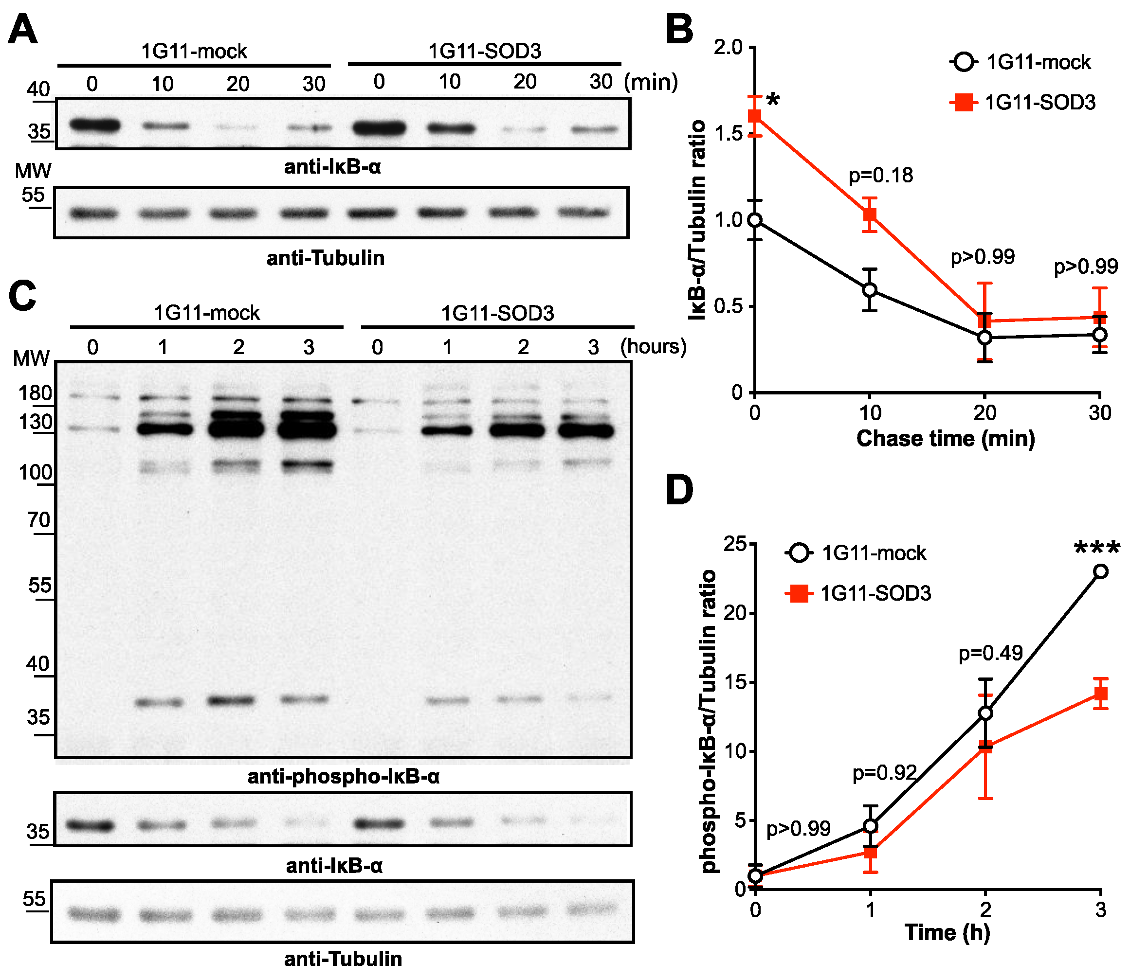 Cancers 14 01226 g006