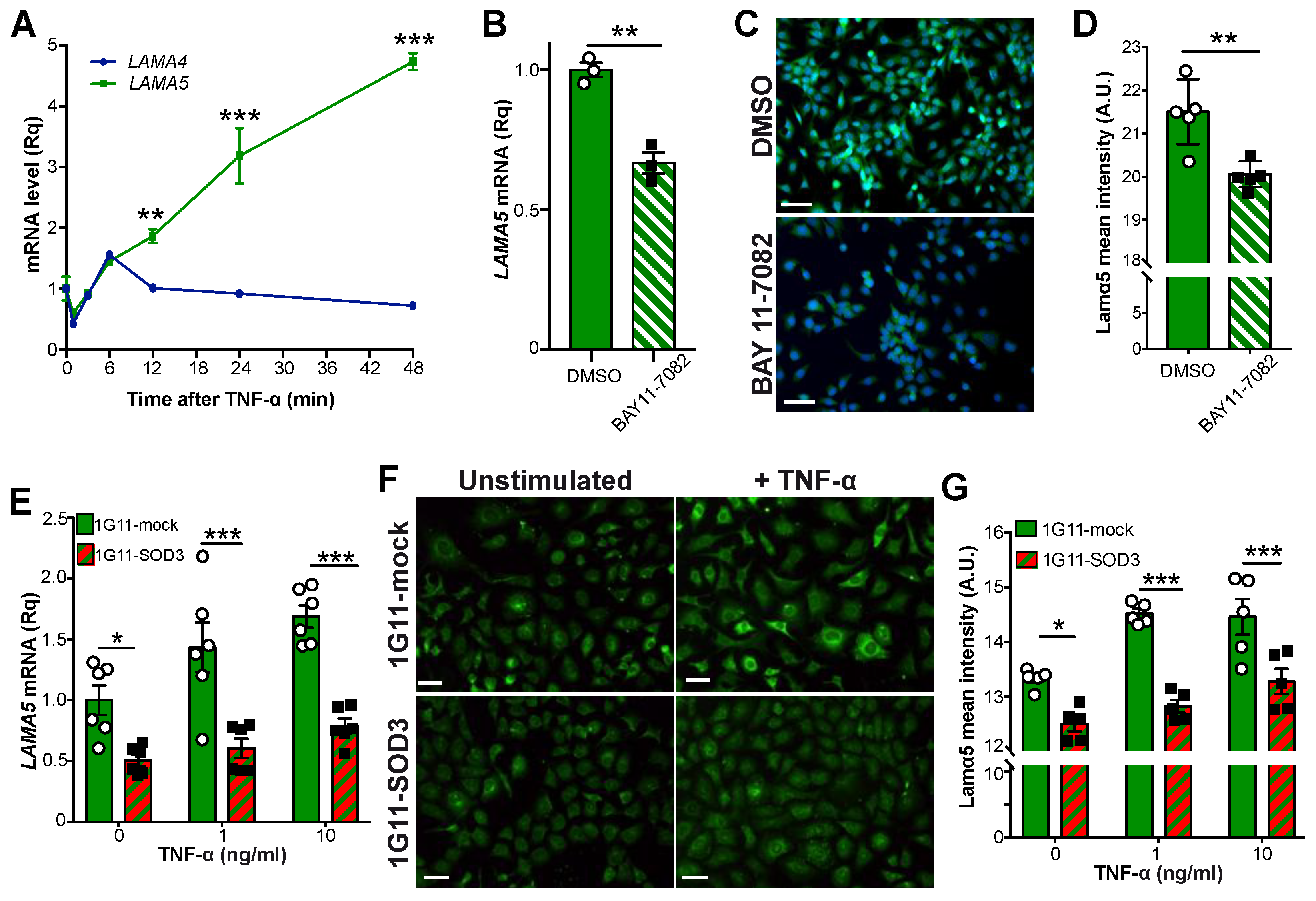 Cancers 14 01226 g007