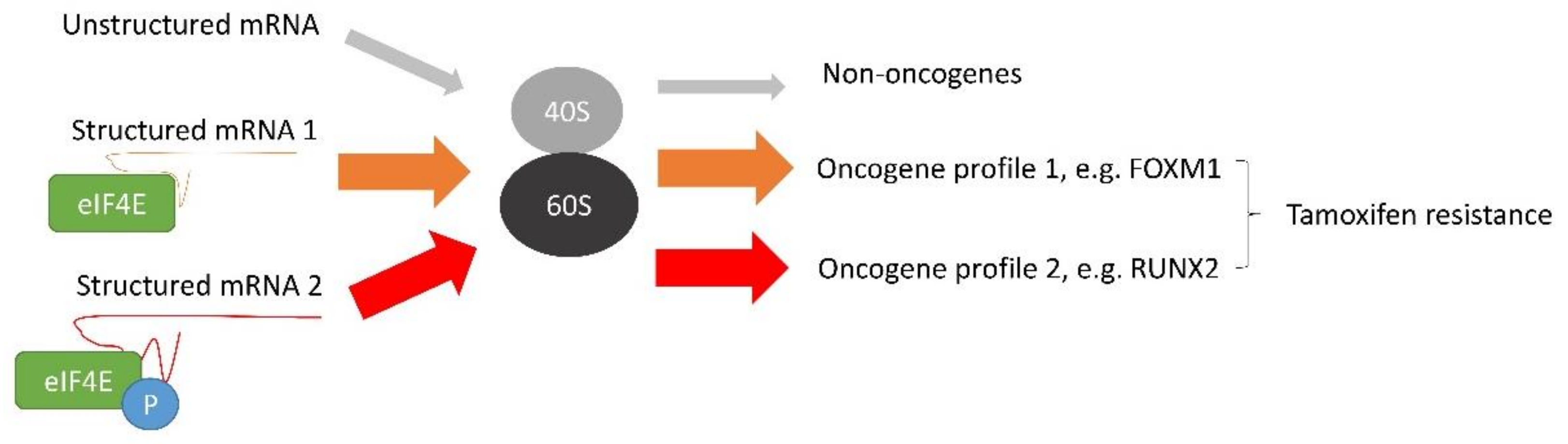 Cancers 14 01251 g003