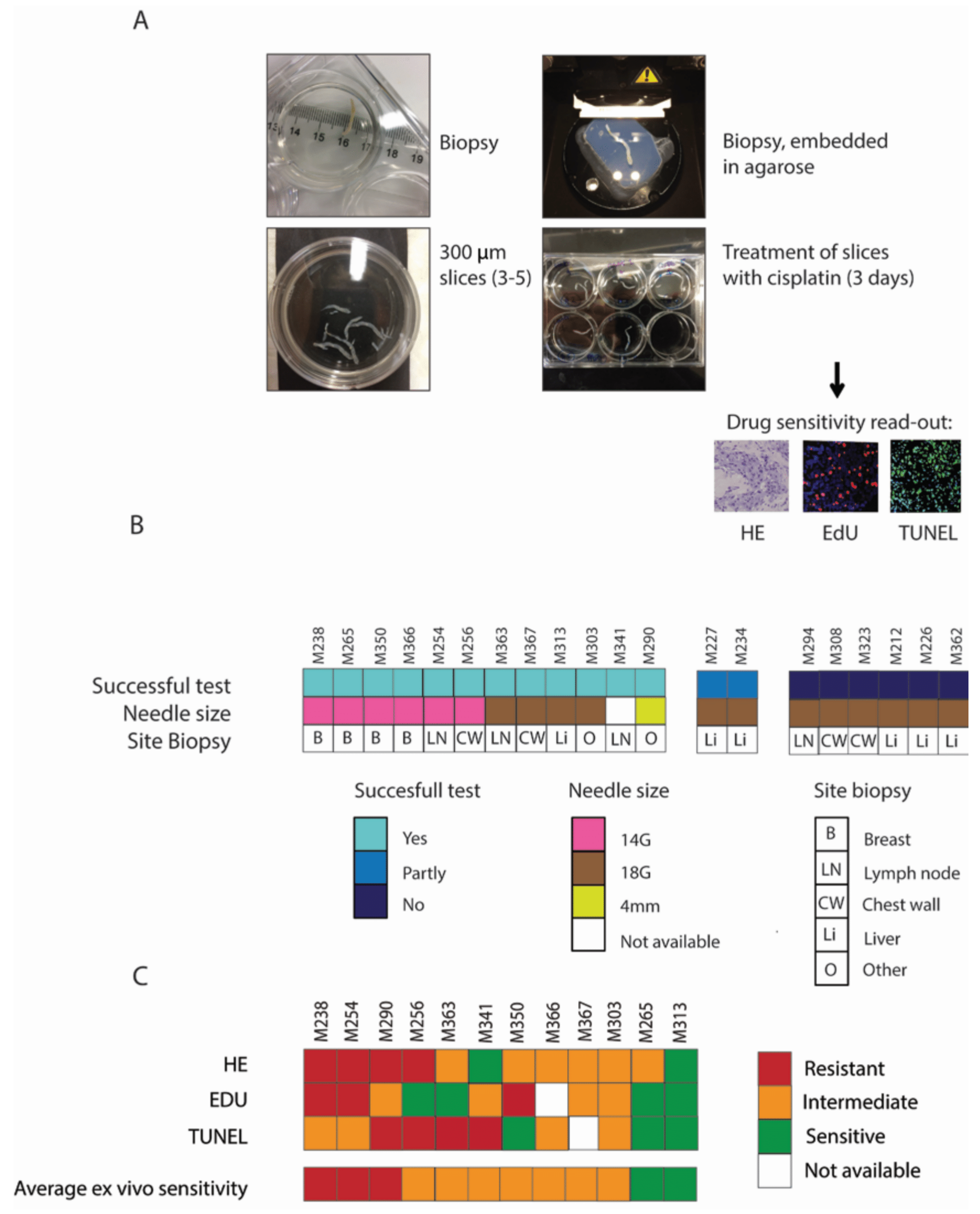 Cancers 14 01252 g005 Cancers 14 01252 g005