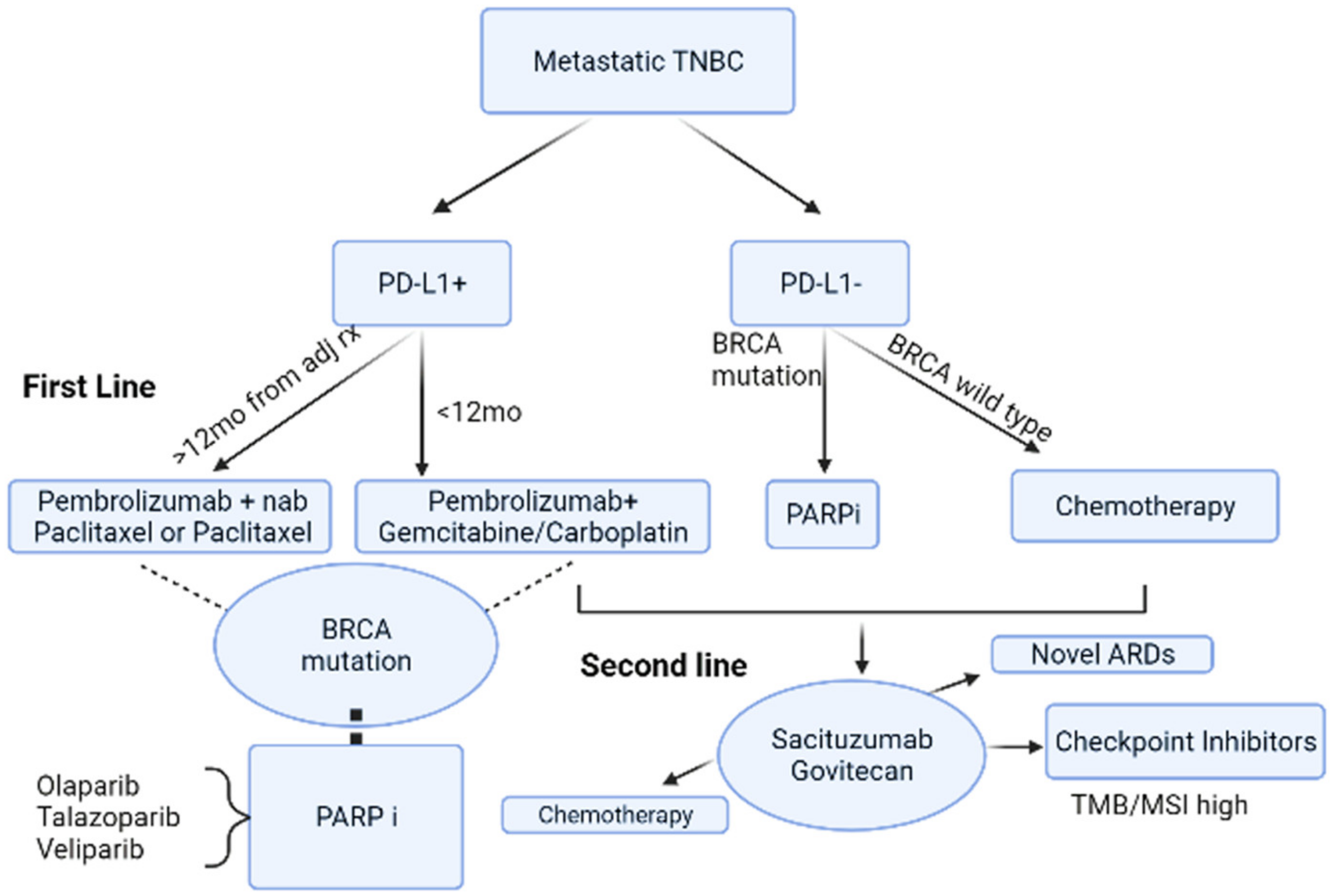 Cancers 14 01253 g002 Cancers 14 01253 g002