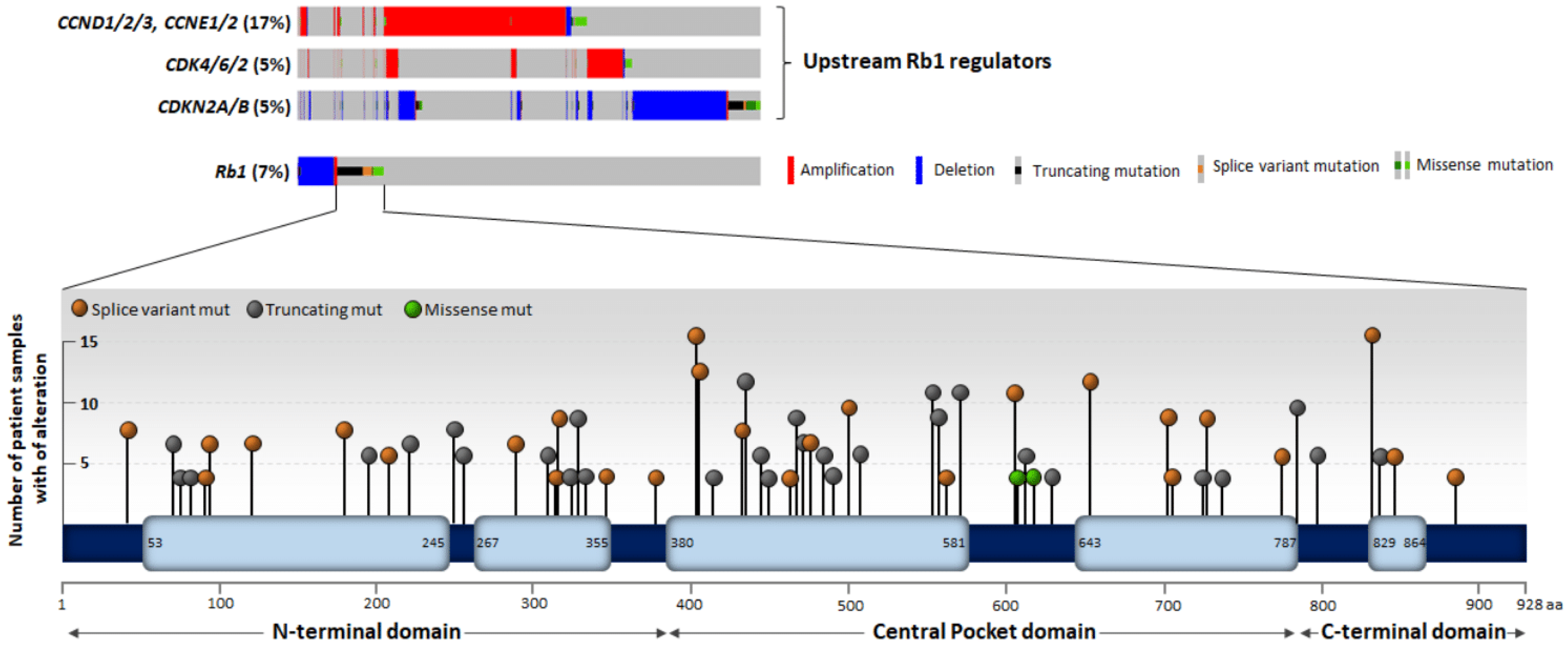 Cancers 14 01265 g002