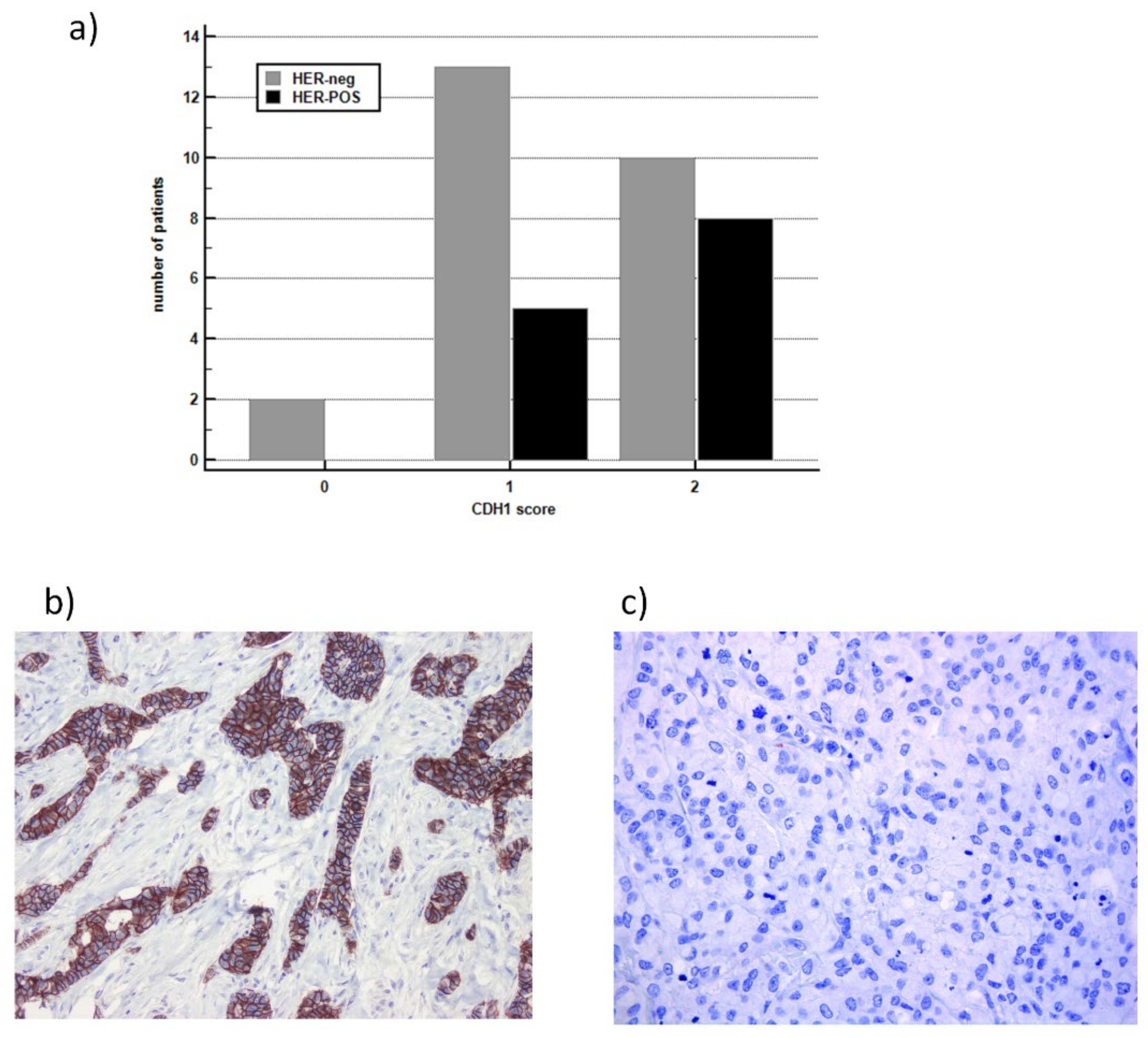 Cancers 14 01266 g005