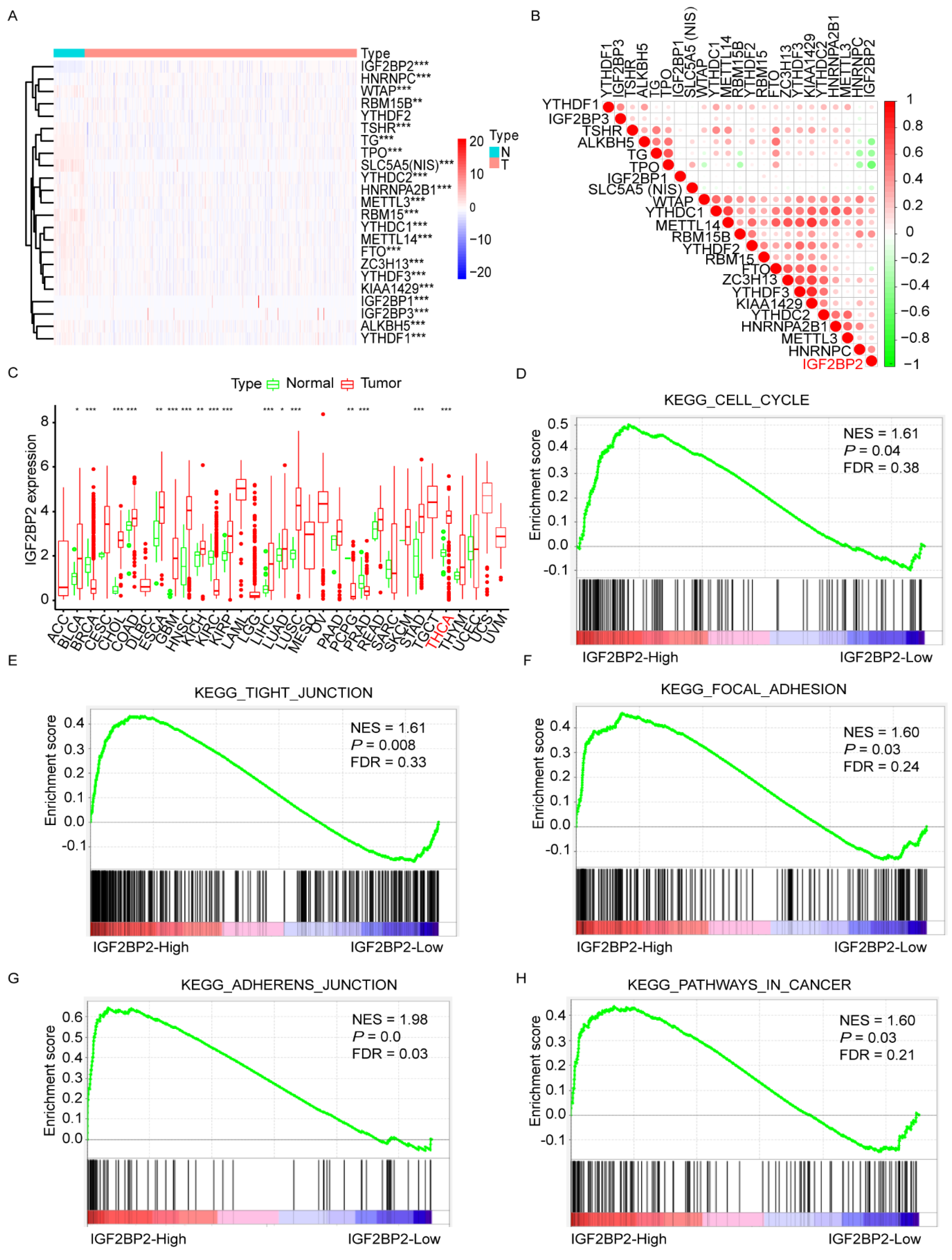 Cancers 14 01268 g001