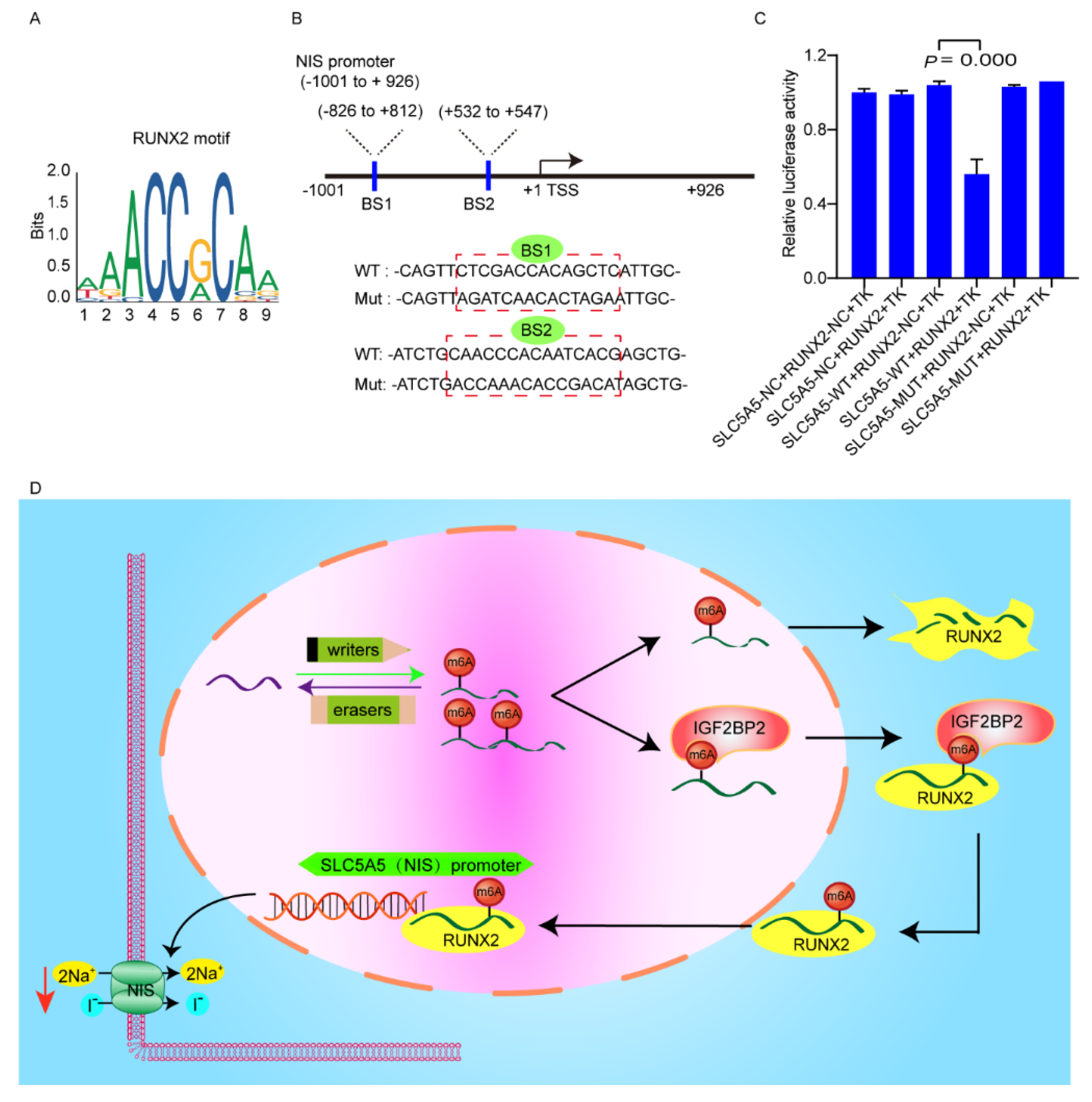 Cancers 14 01268 g006