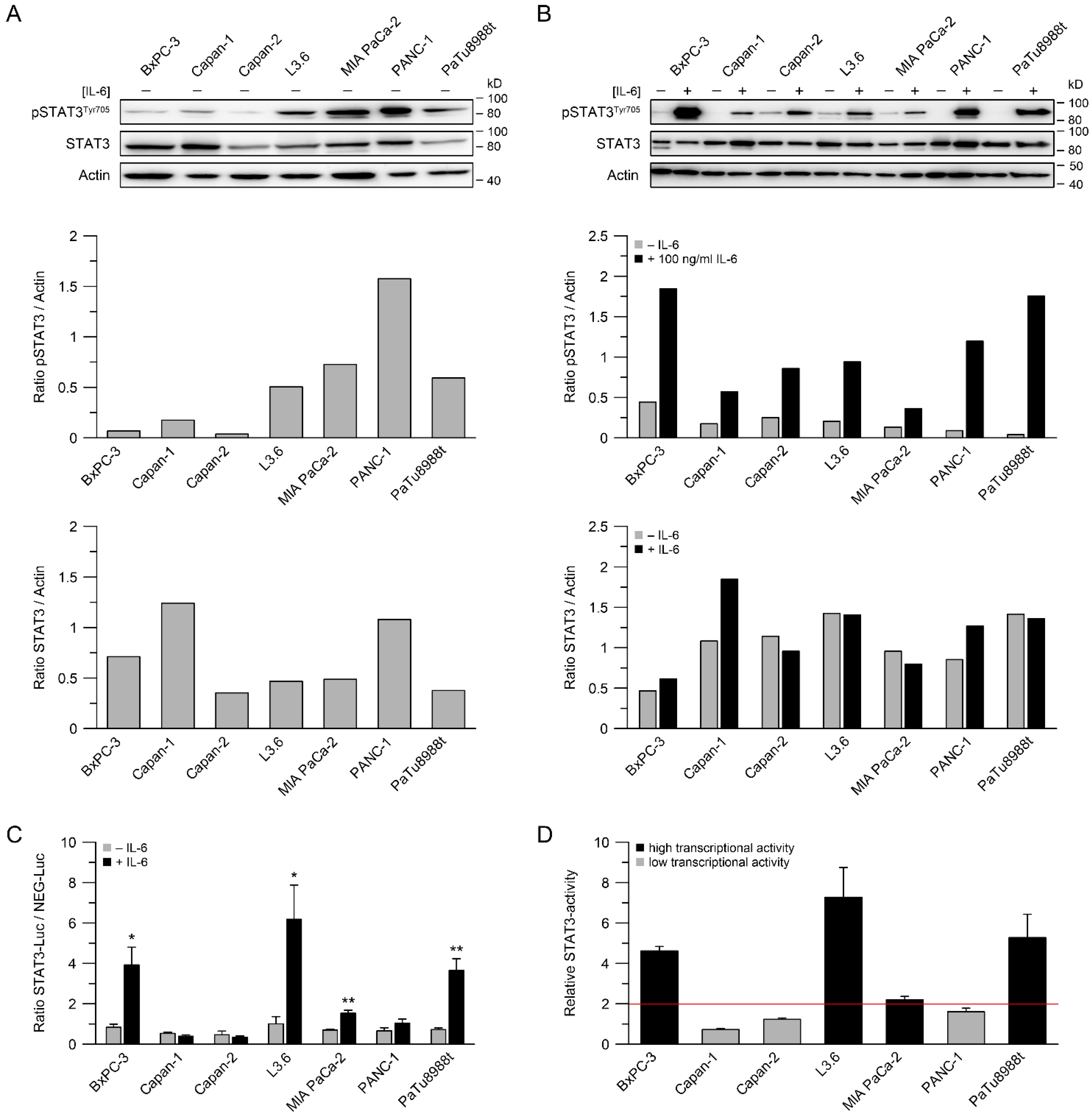 Cancers 14 01301 g001