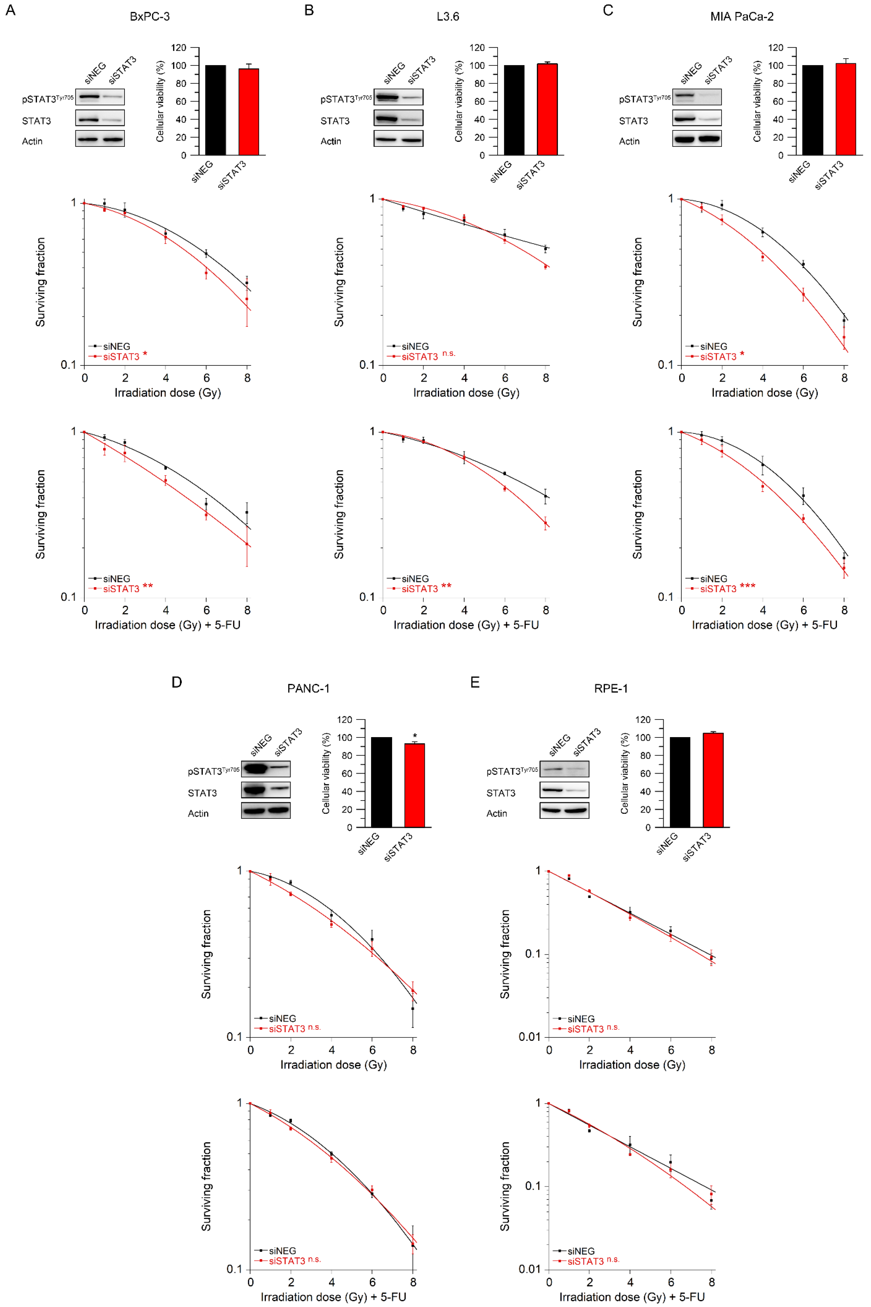 Cancers 14 01301 g003