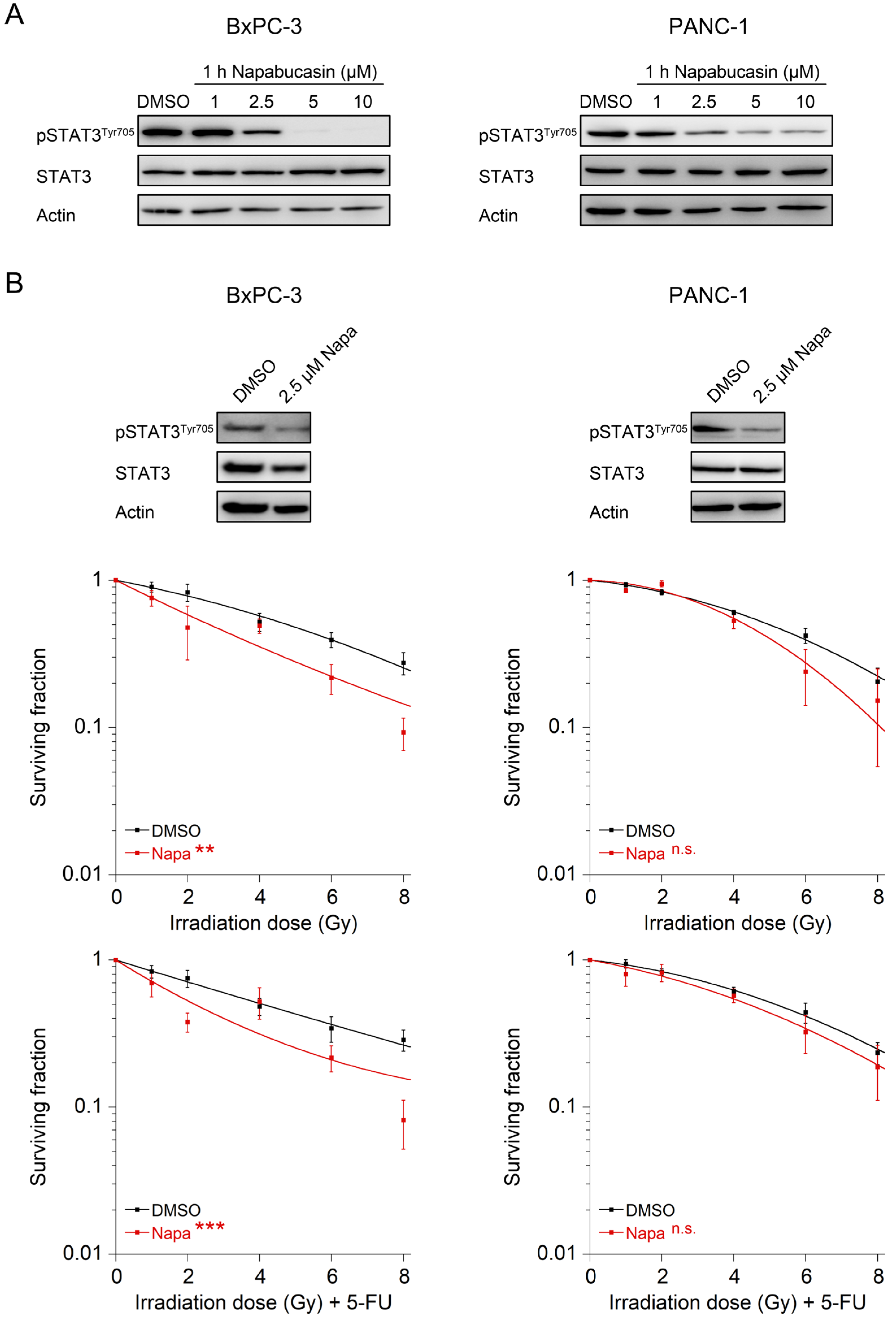Cancers 14 01301 g004