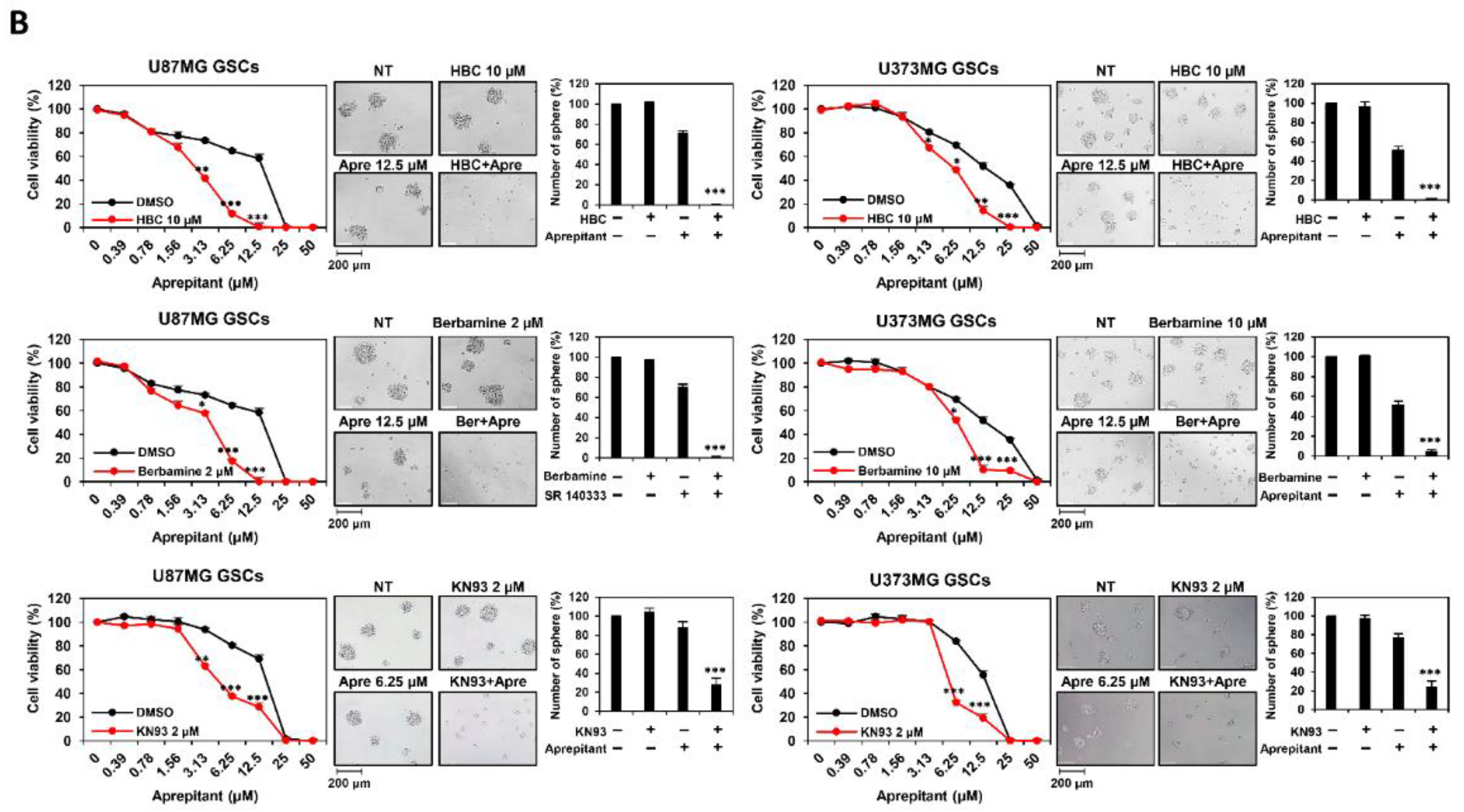 Cancers 14 01315 g002b