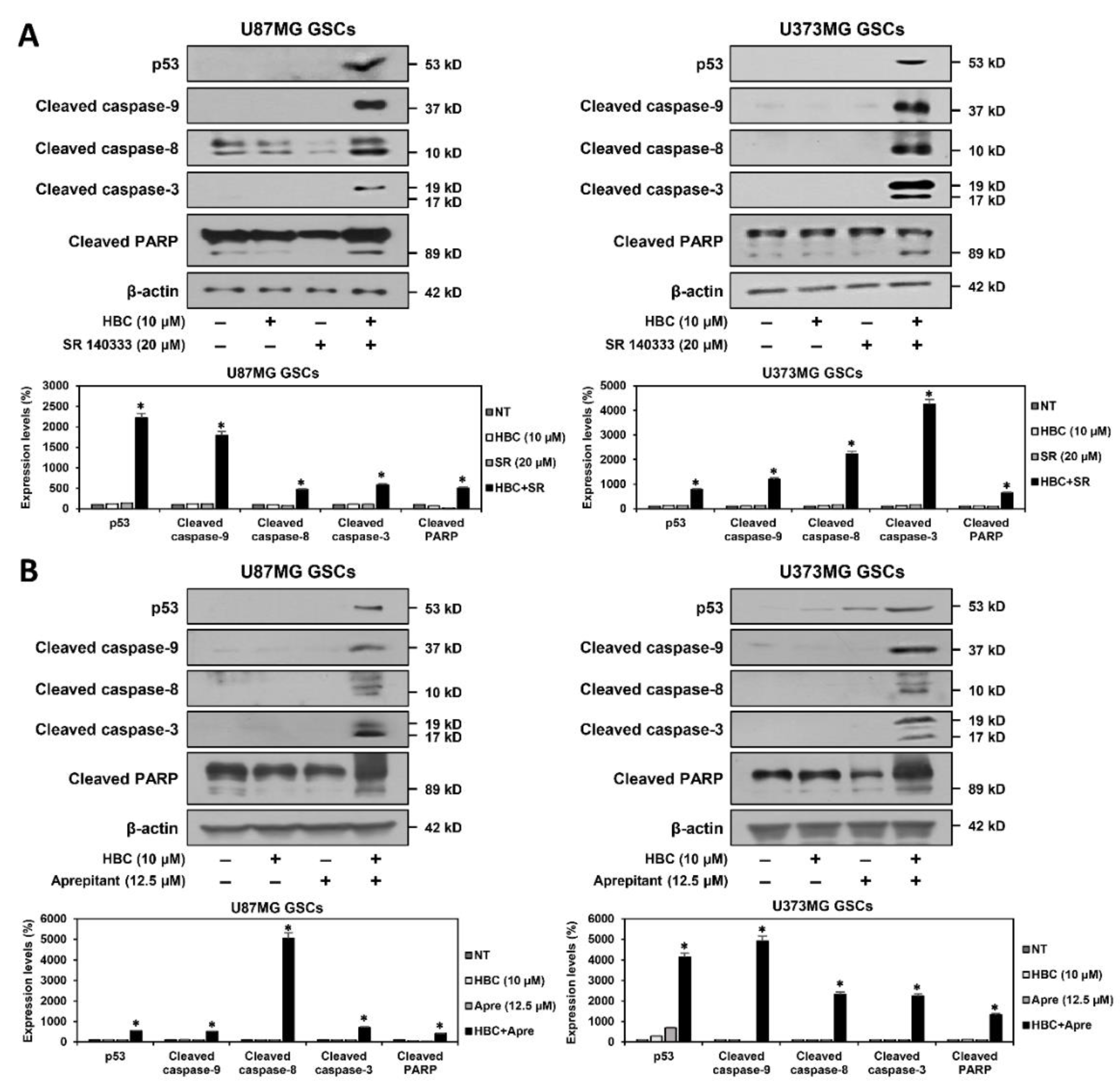 Cancers 14 01315 g006