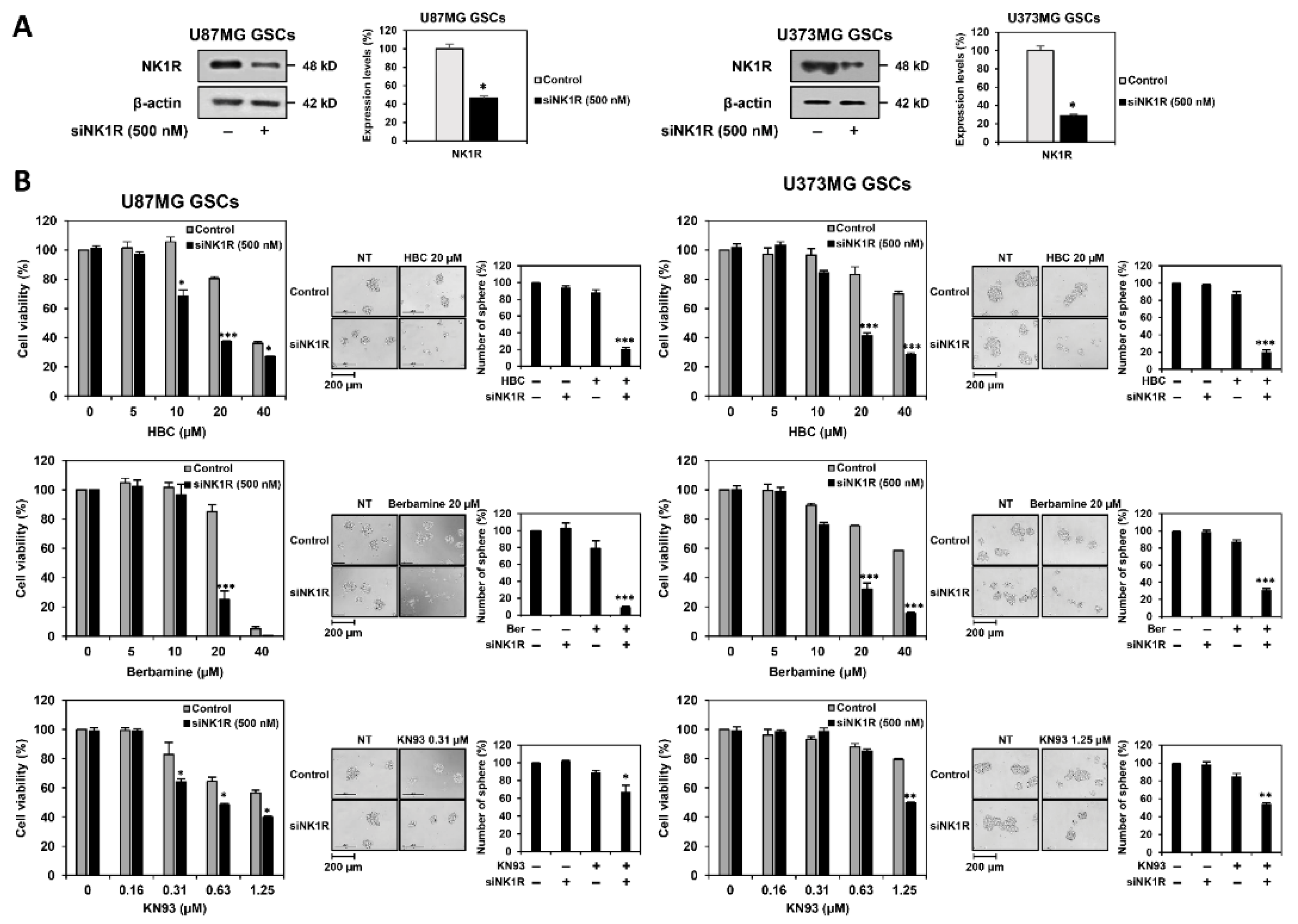 Cancers 14 01315 g008a