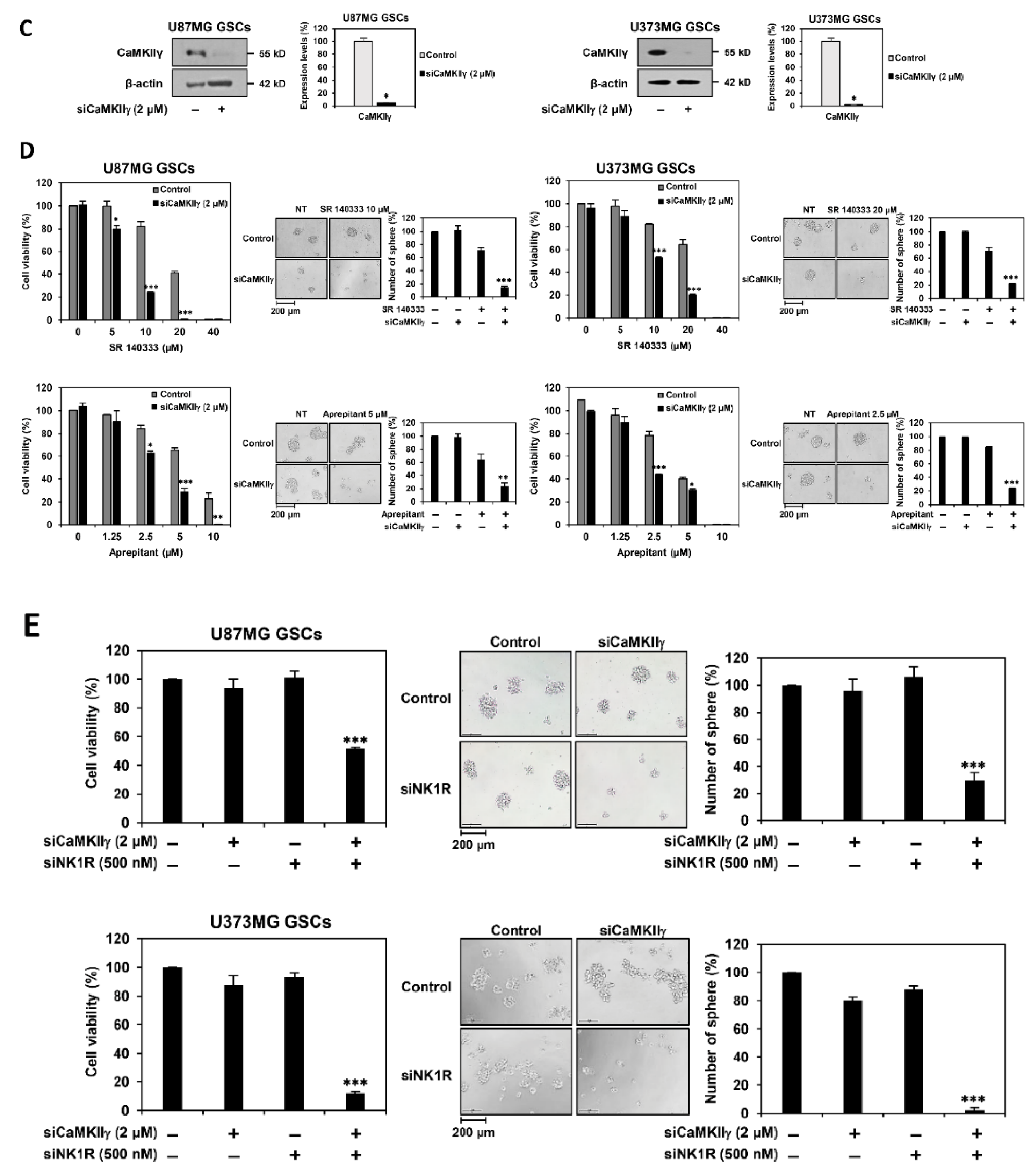 Cancers 14 01315 g008b
