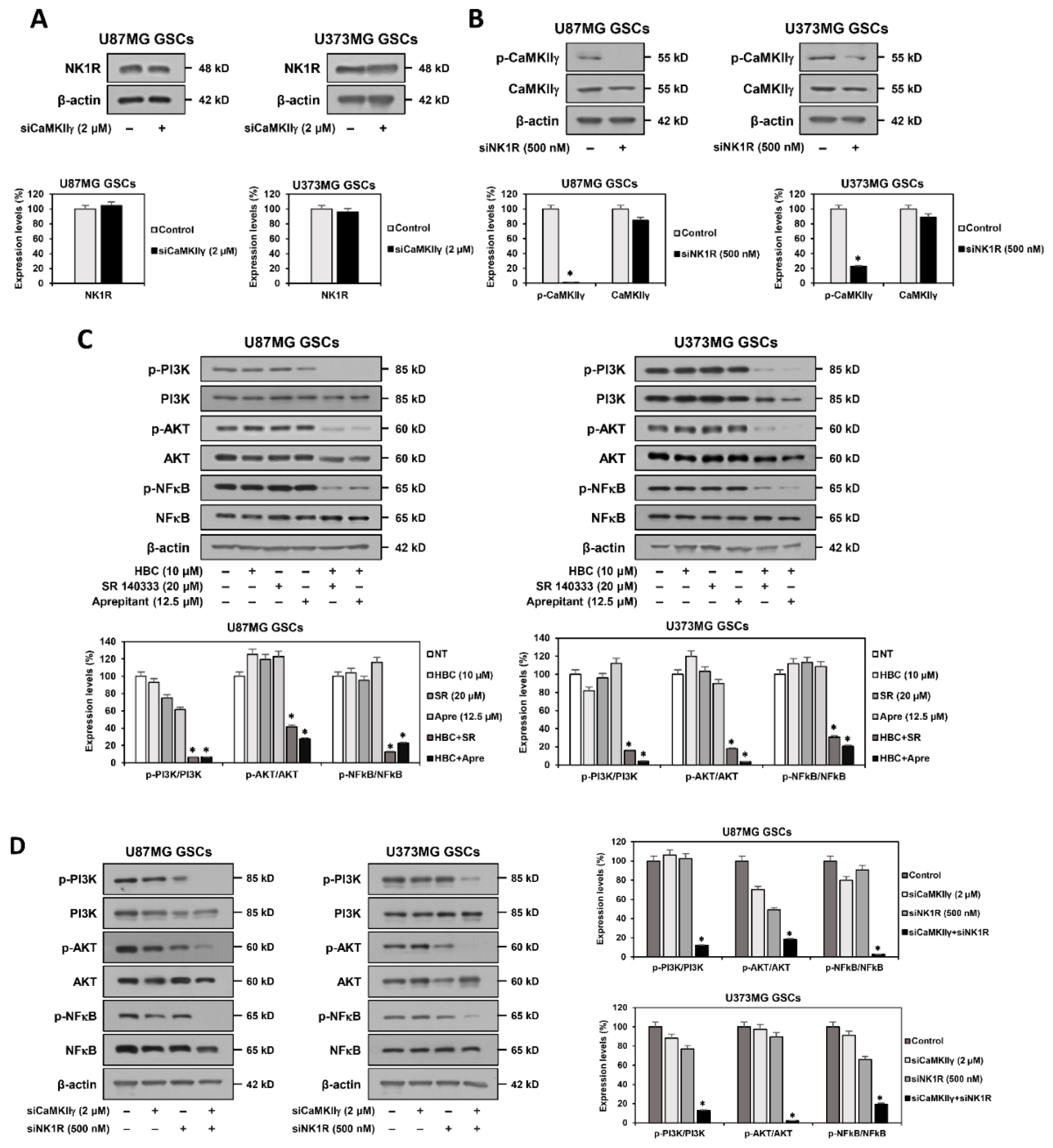 Cancers 14 01315 g009a