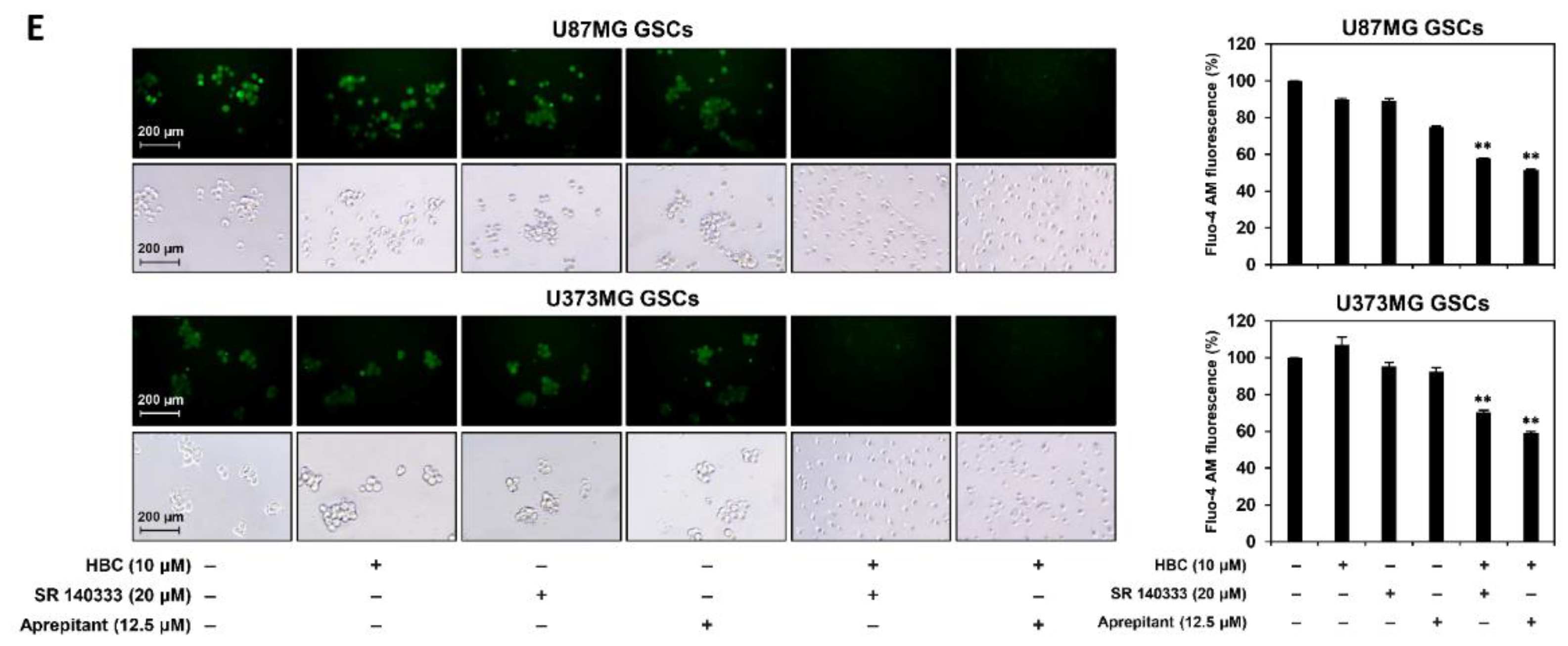 Cancers 14 01315 g009b