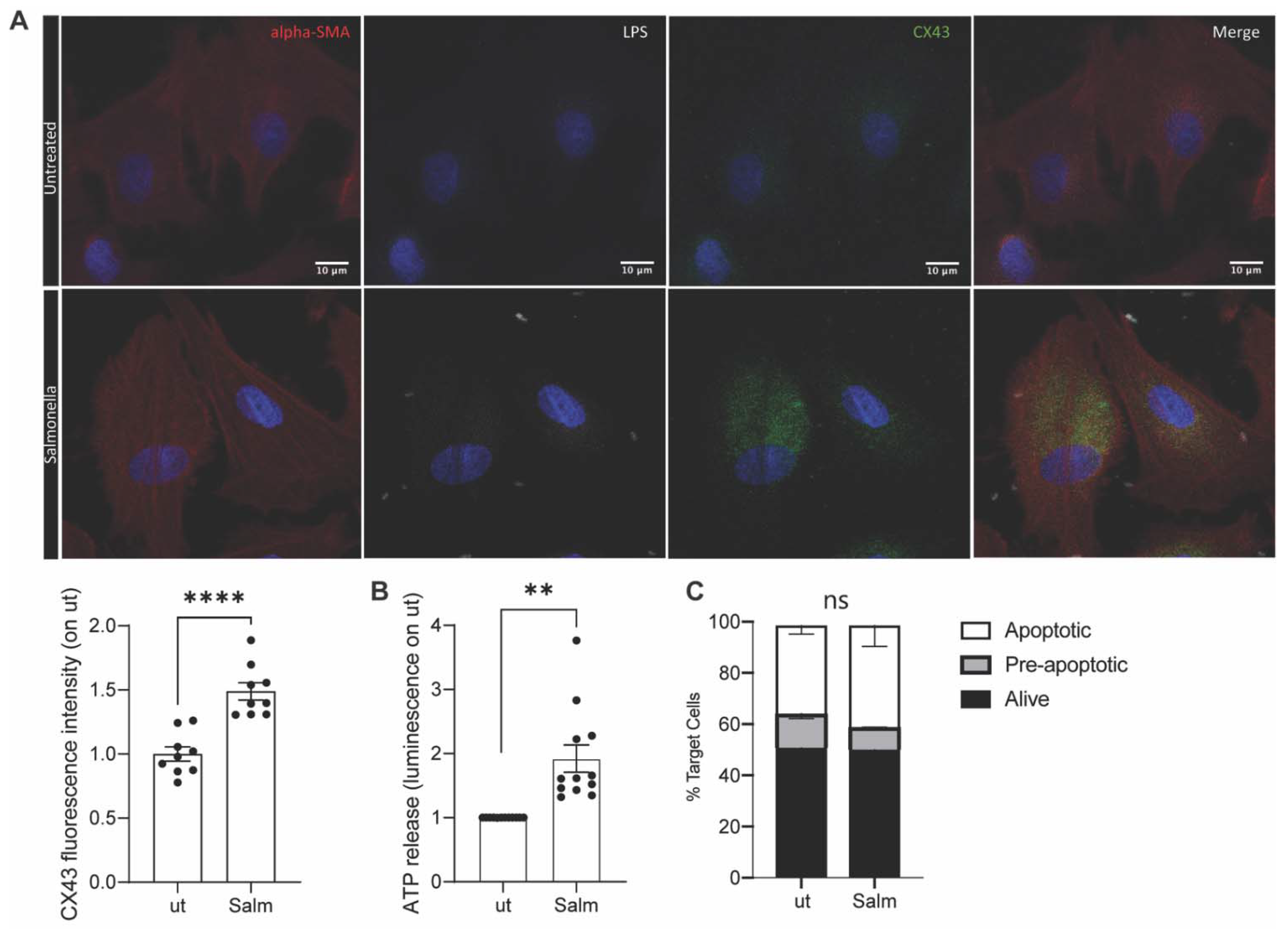 Cancers 14 01347 g001