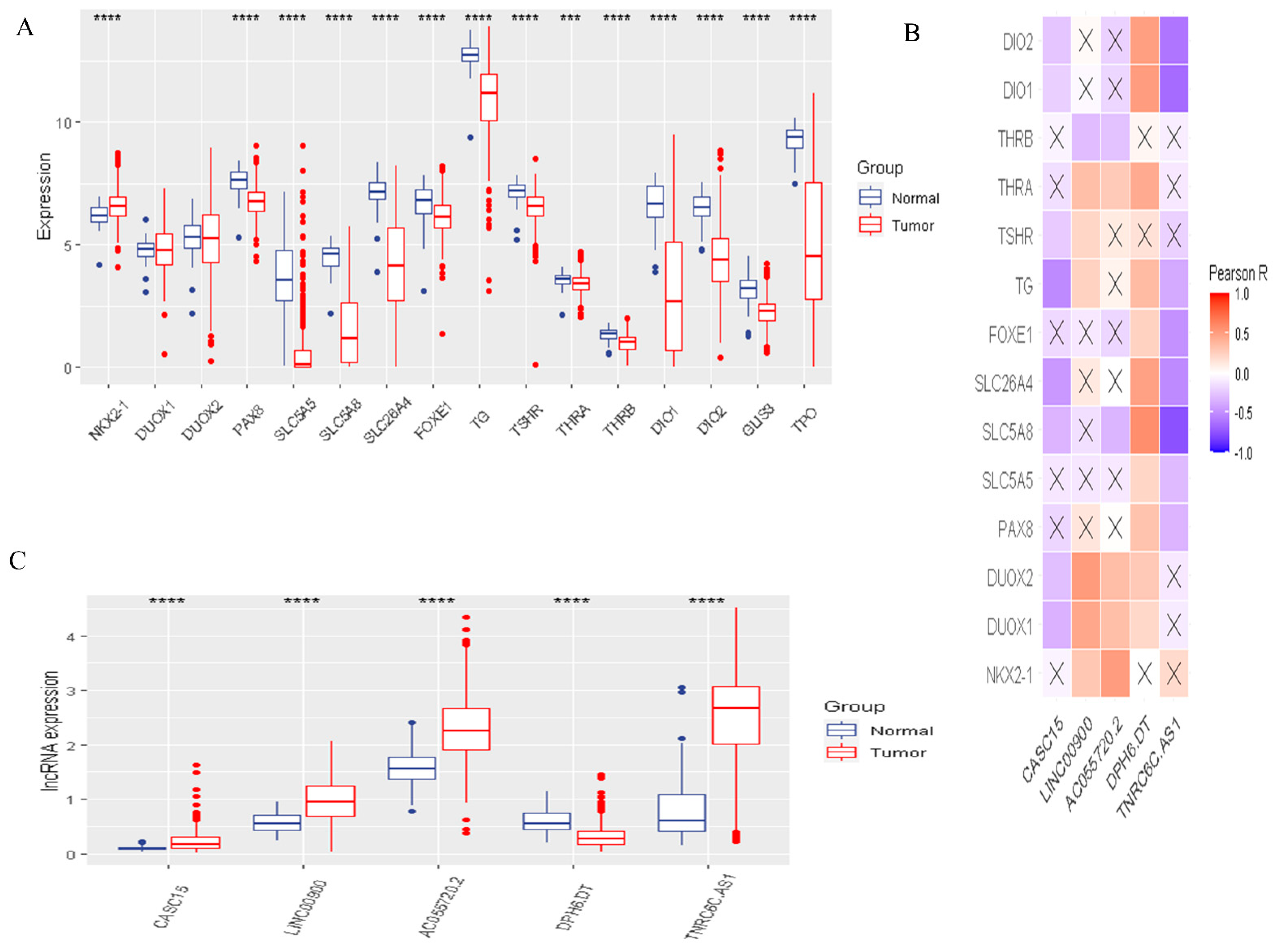 Cancers 14 01353 g002