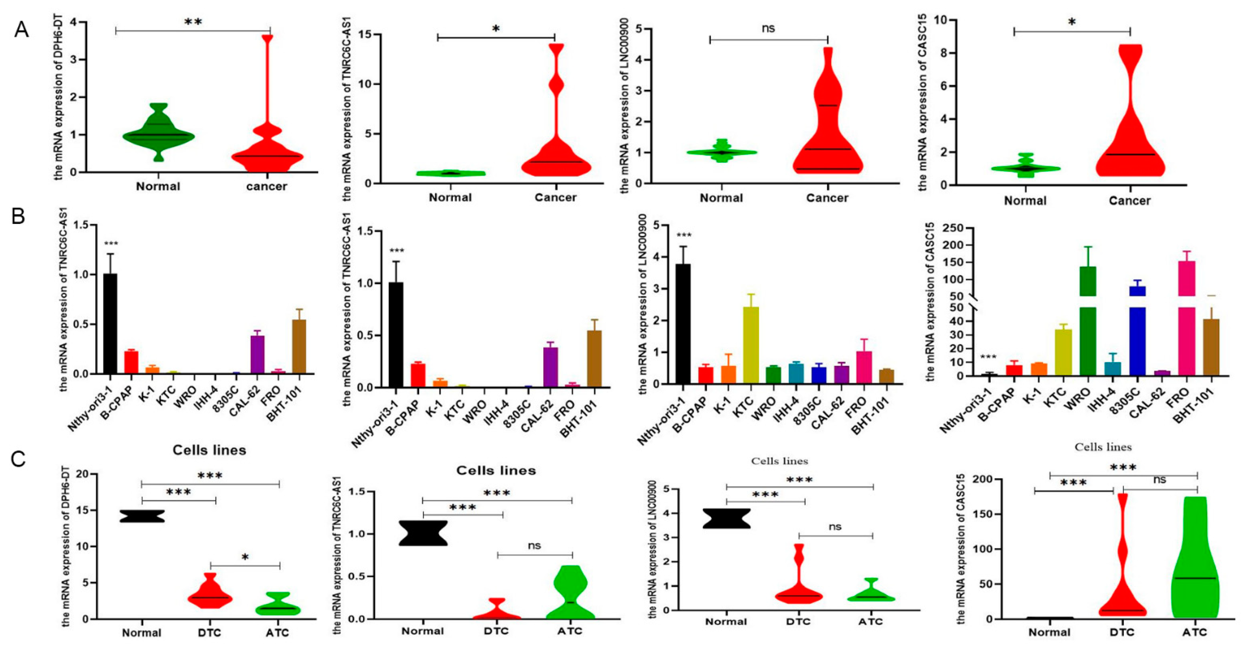 Cancers 14 01353 g007