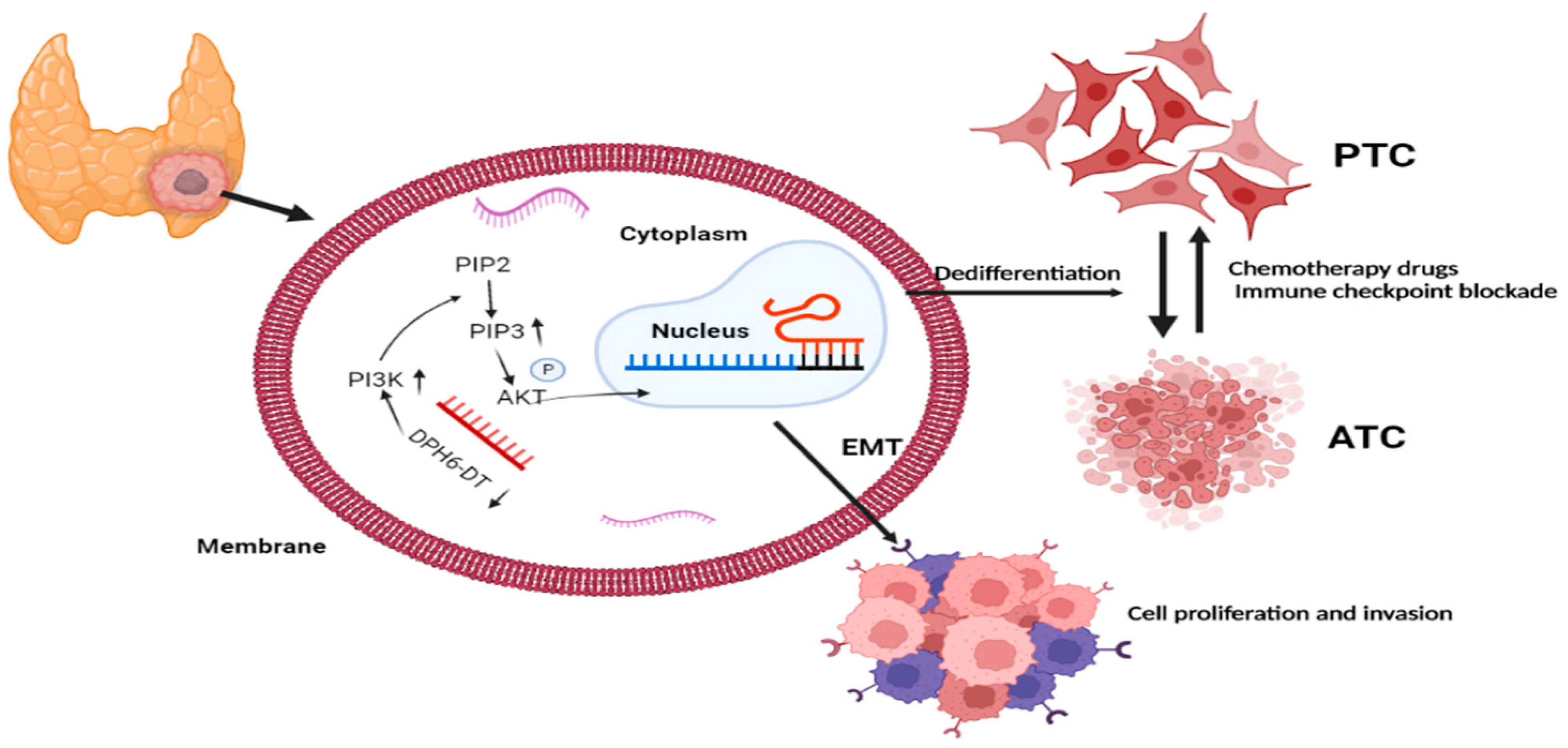 Cancers 14 01353 g009