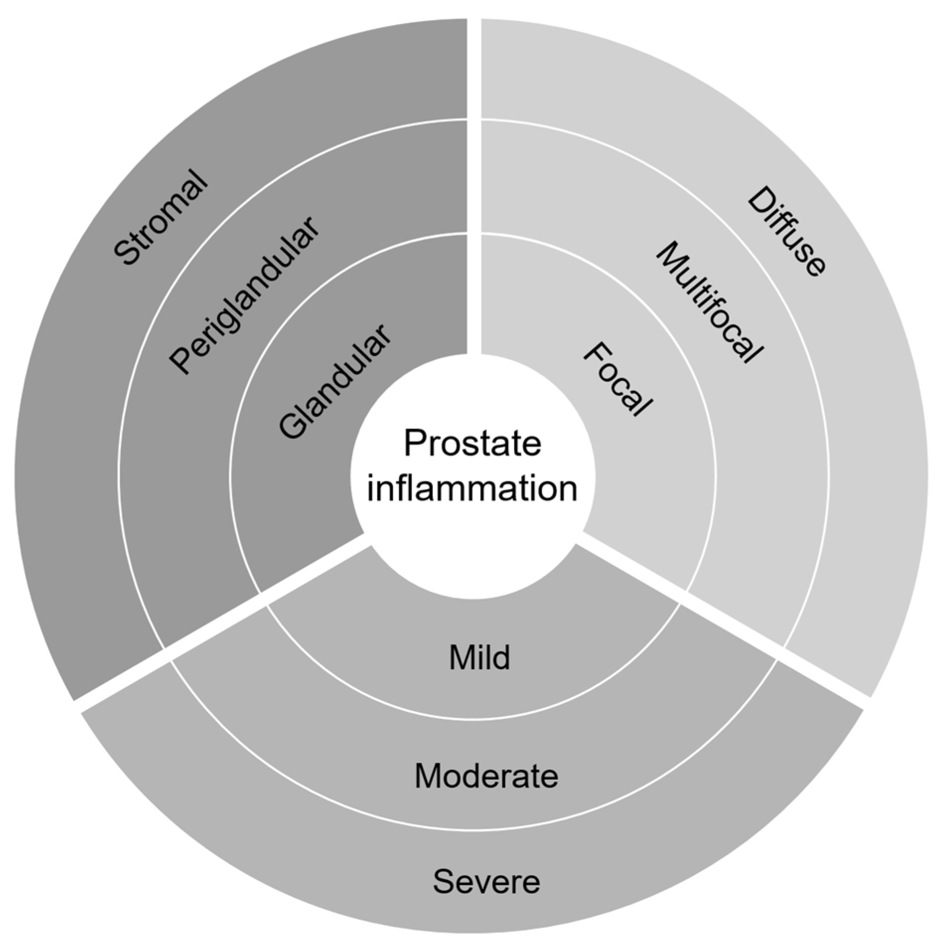 Cancers | Free Full-Text | Inflammation and Prostate Cancer: A  Multidisciplinary Approach to Identifying Opportunities for Treatment and  Prevention