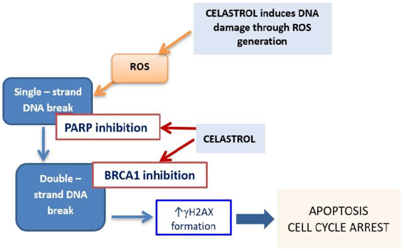Cancers 14 01372 g008