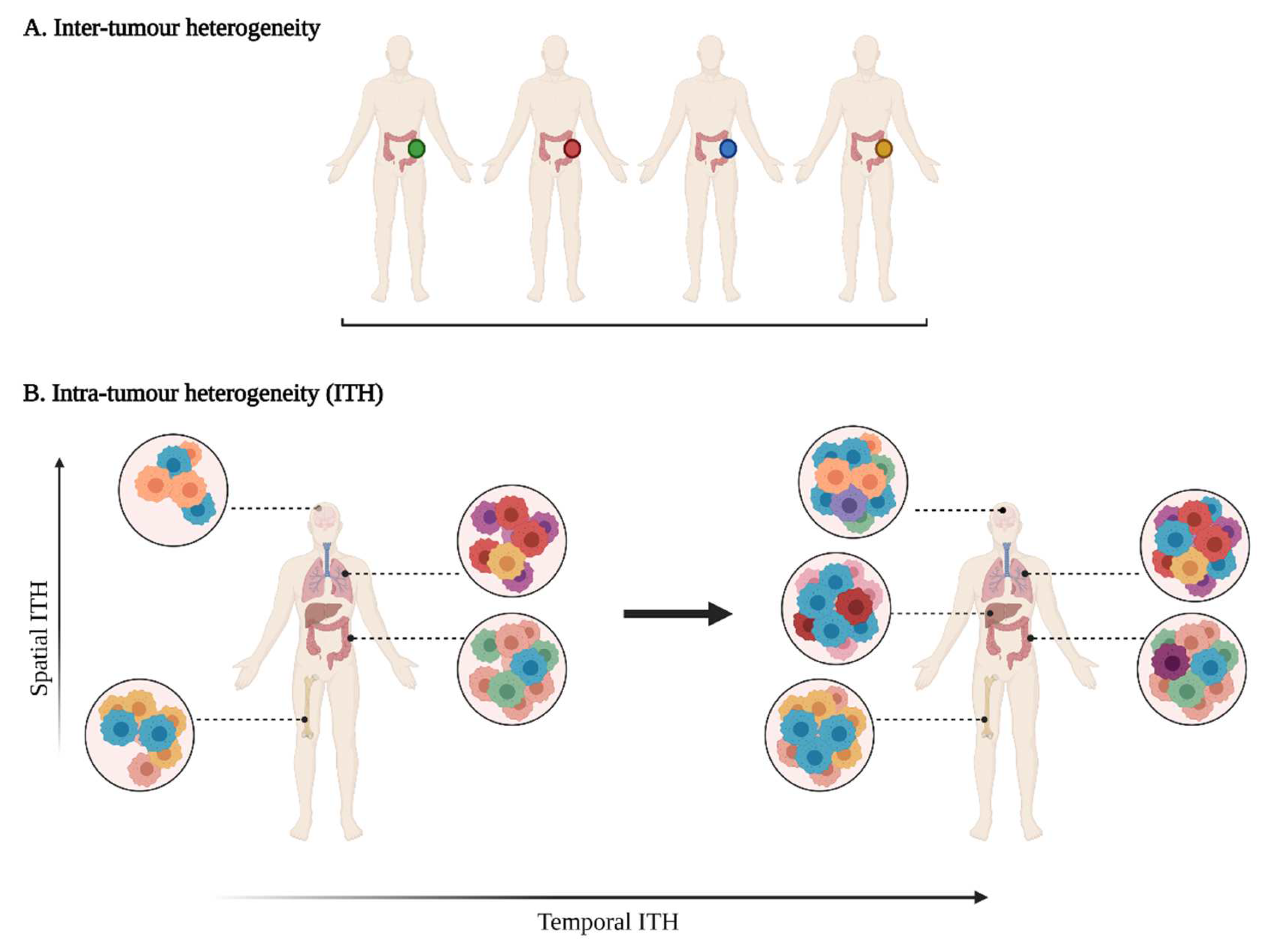 Cancers | Free Full-Text | Deciphering Tumour Heterogeneity: From Tissue to  Liquid Biopsy | HTML