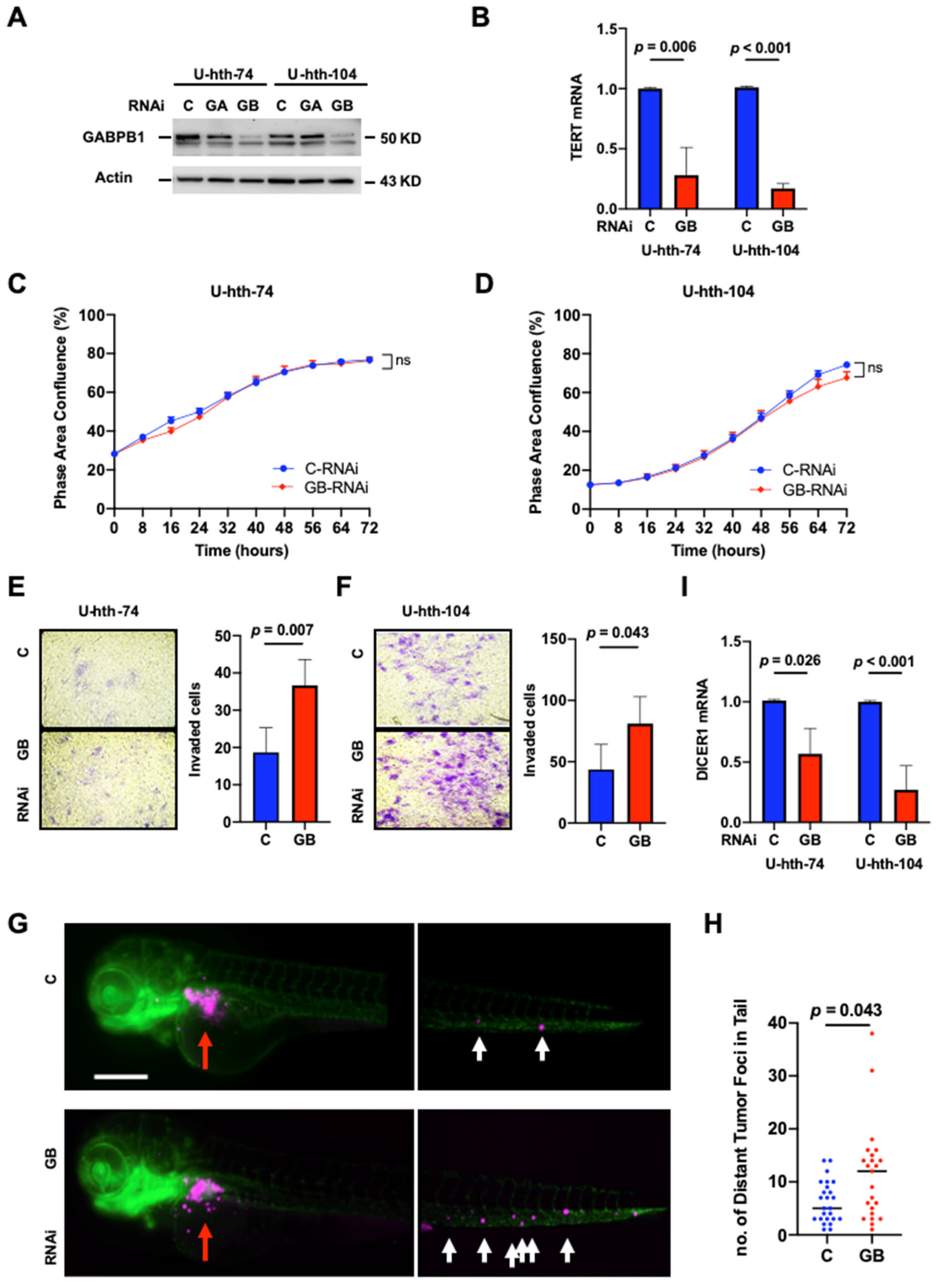 Cancers 14 01385 g001