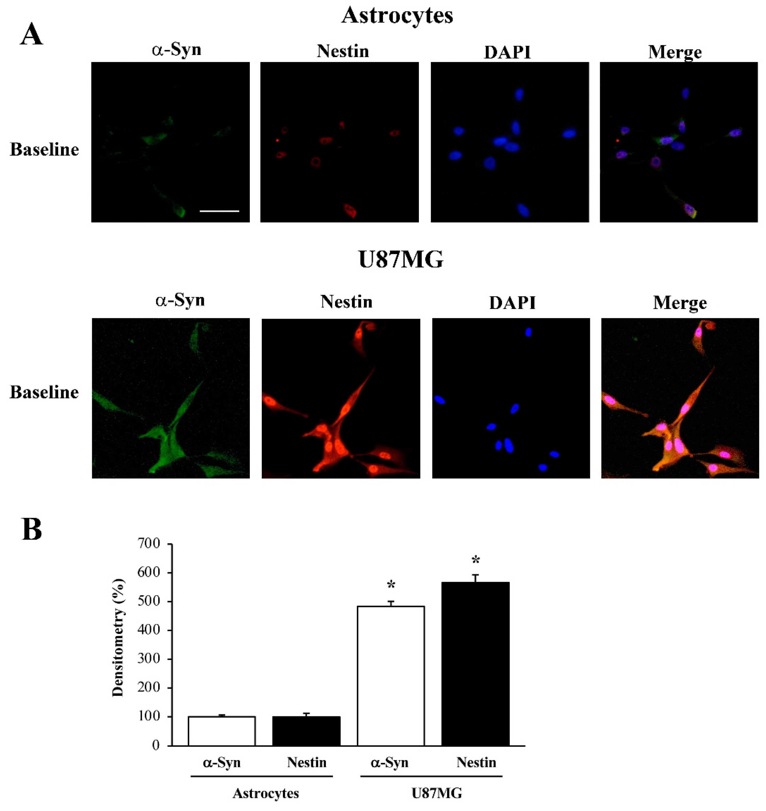 Cancers 14 01417 g002 Cancers 14 01417 g002