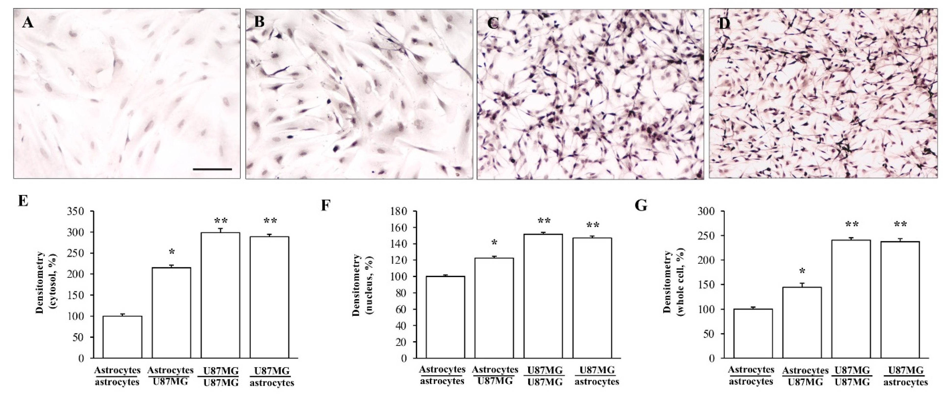 Cancers 14 01417 g003 Cancers 14 01417 g003