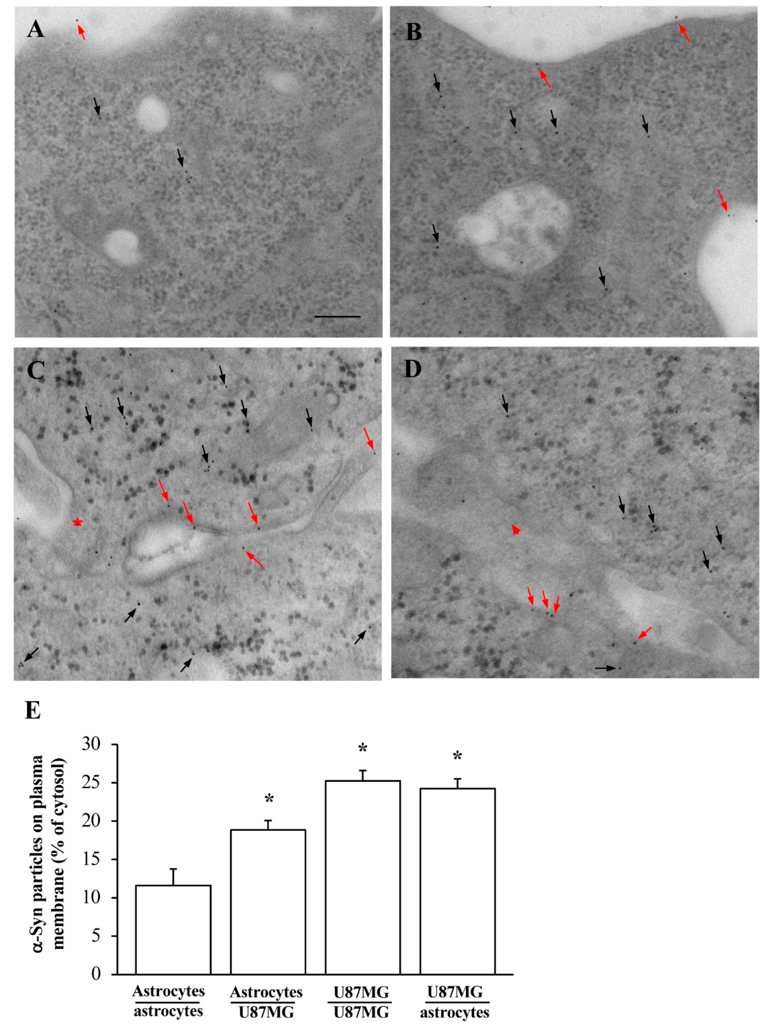 Cancers 14 01417 g005 Cancers 14 01417 g005