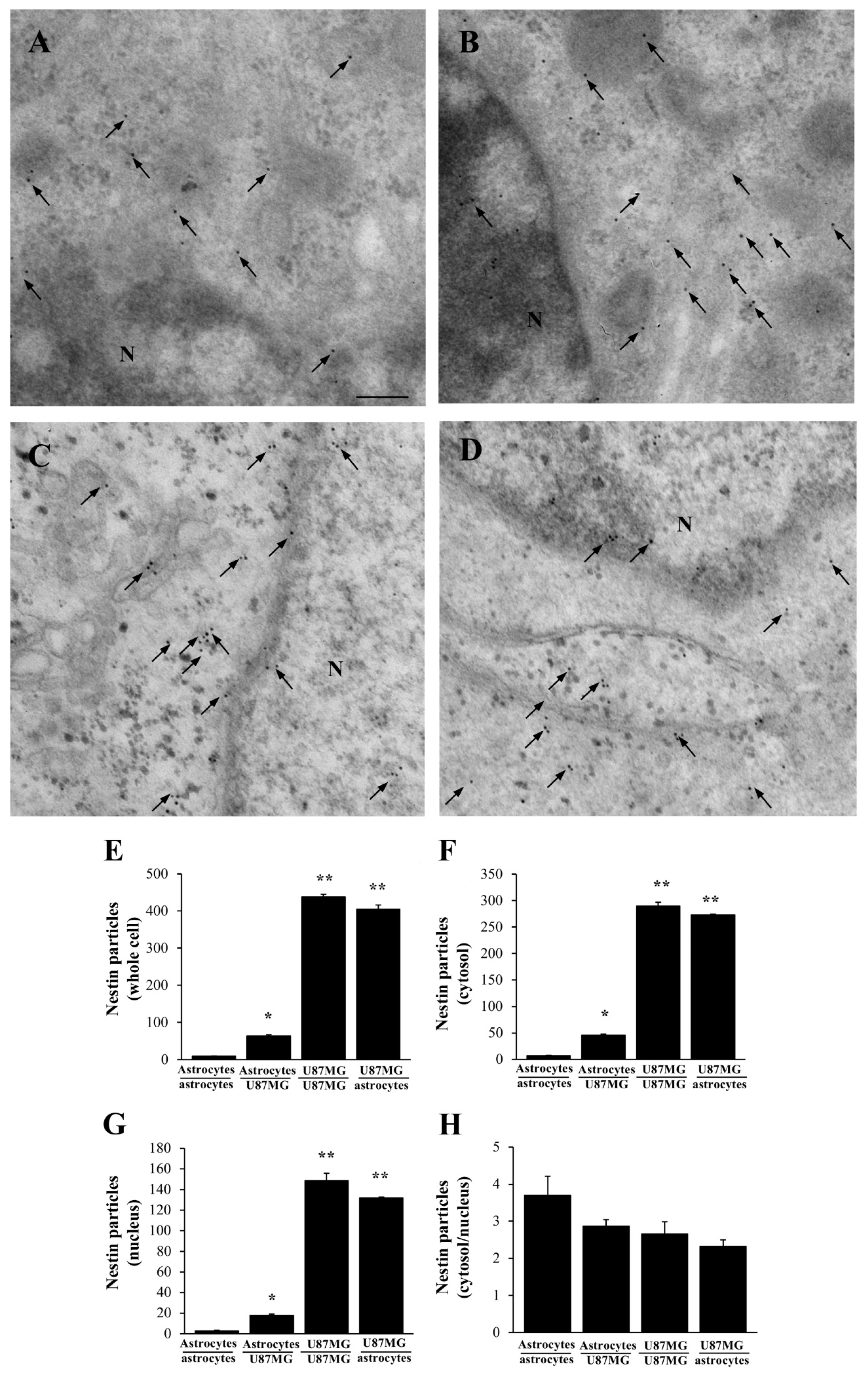 Cancers 14 01417 g006 Cancers 14 01417 g006