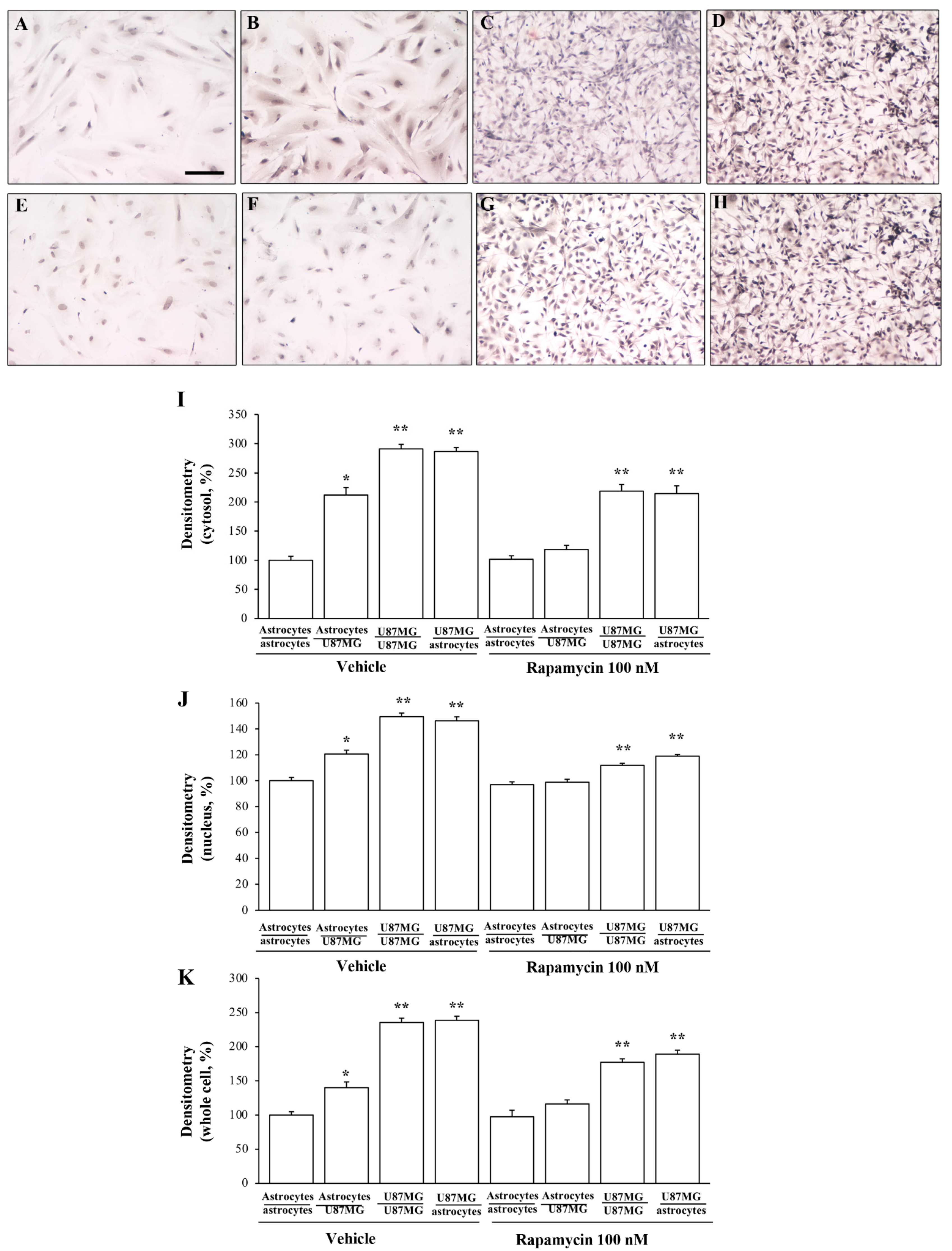Cancers 14 01417 g013 Cancers 14 01417 g013