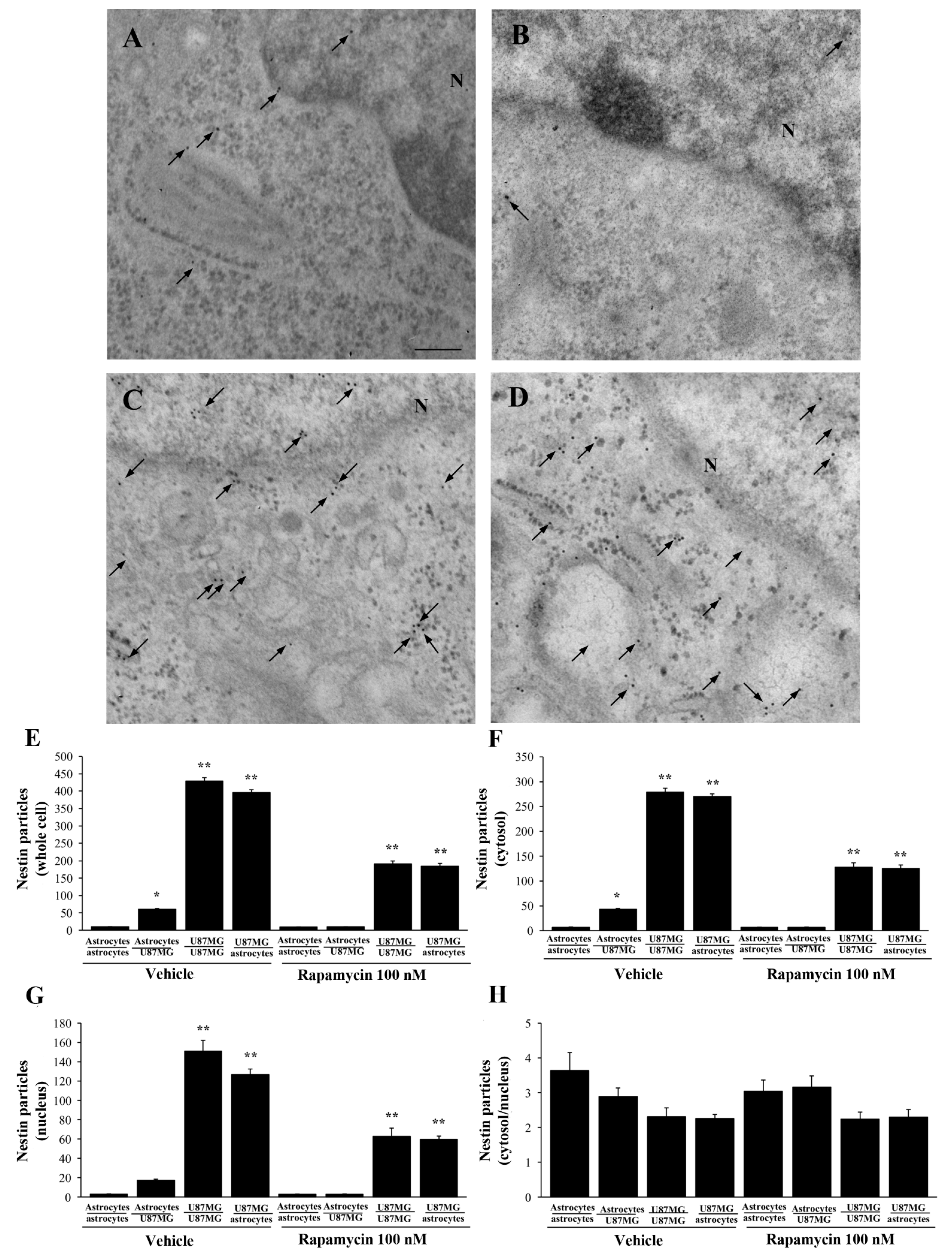 Cancers 14 01417 g014 Cancers 14 01417 g014