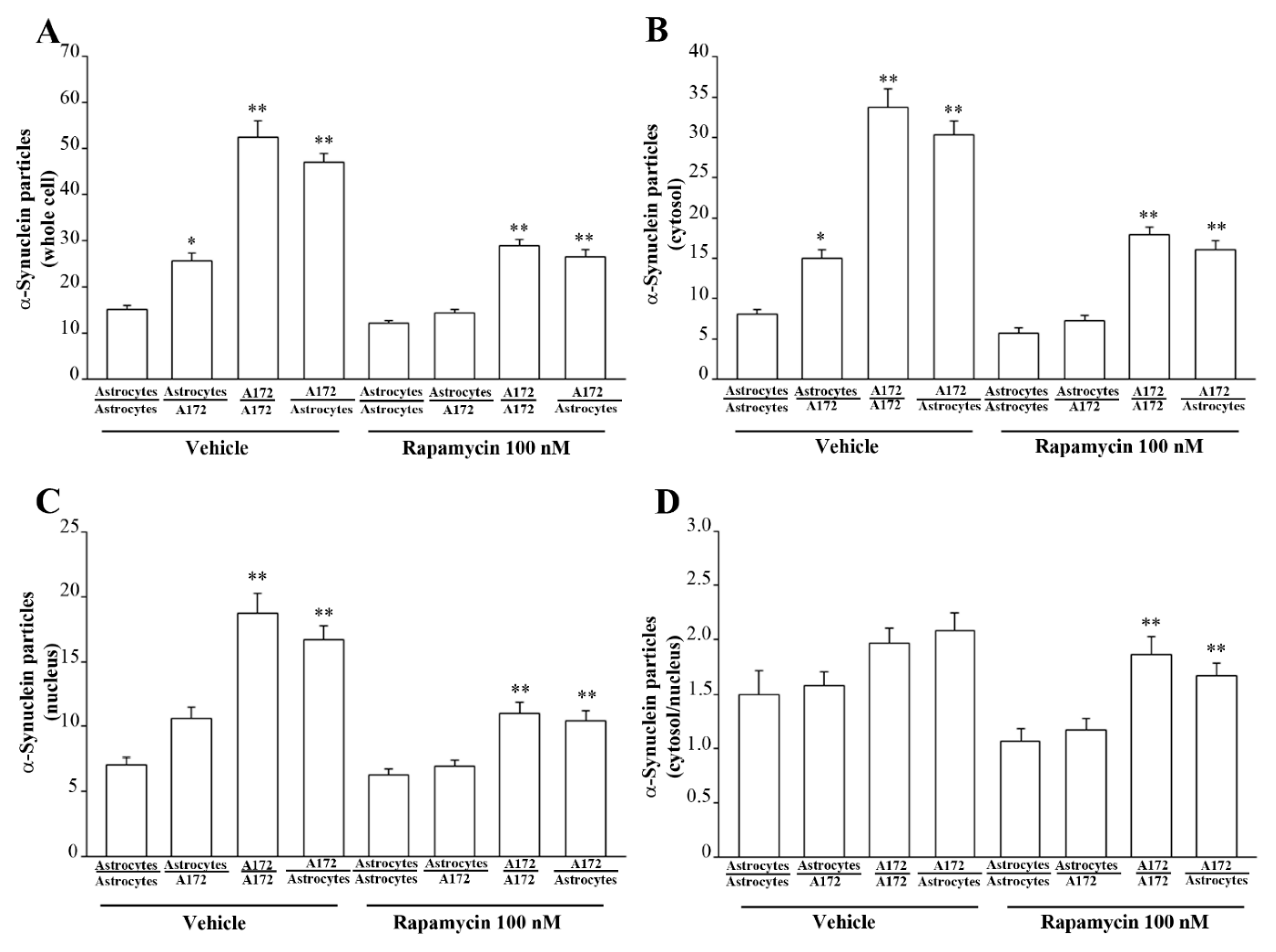 Cancers 14 01417 g017 Cancers 14 01417 g017