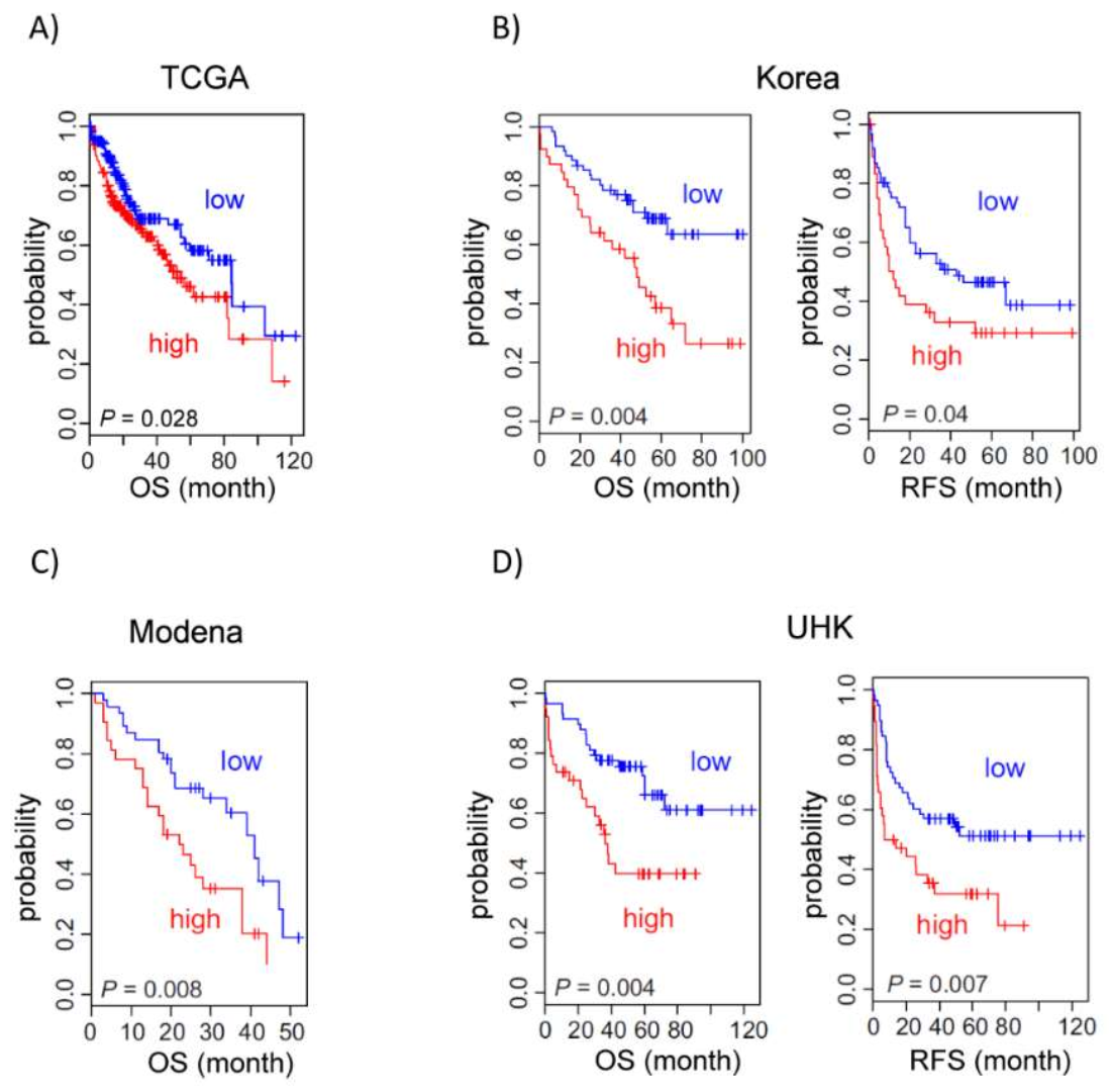 Cancers 14 01421 g002