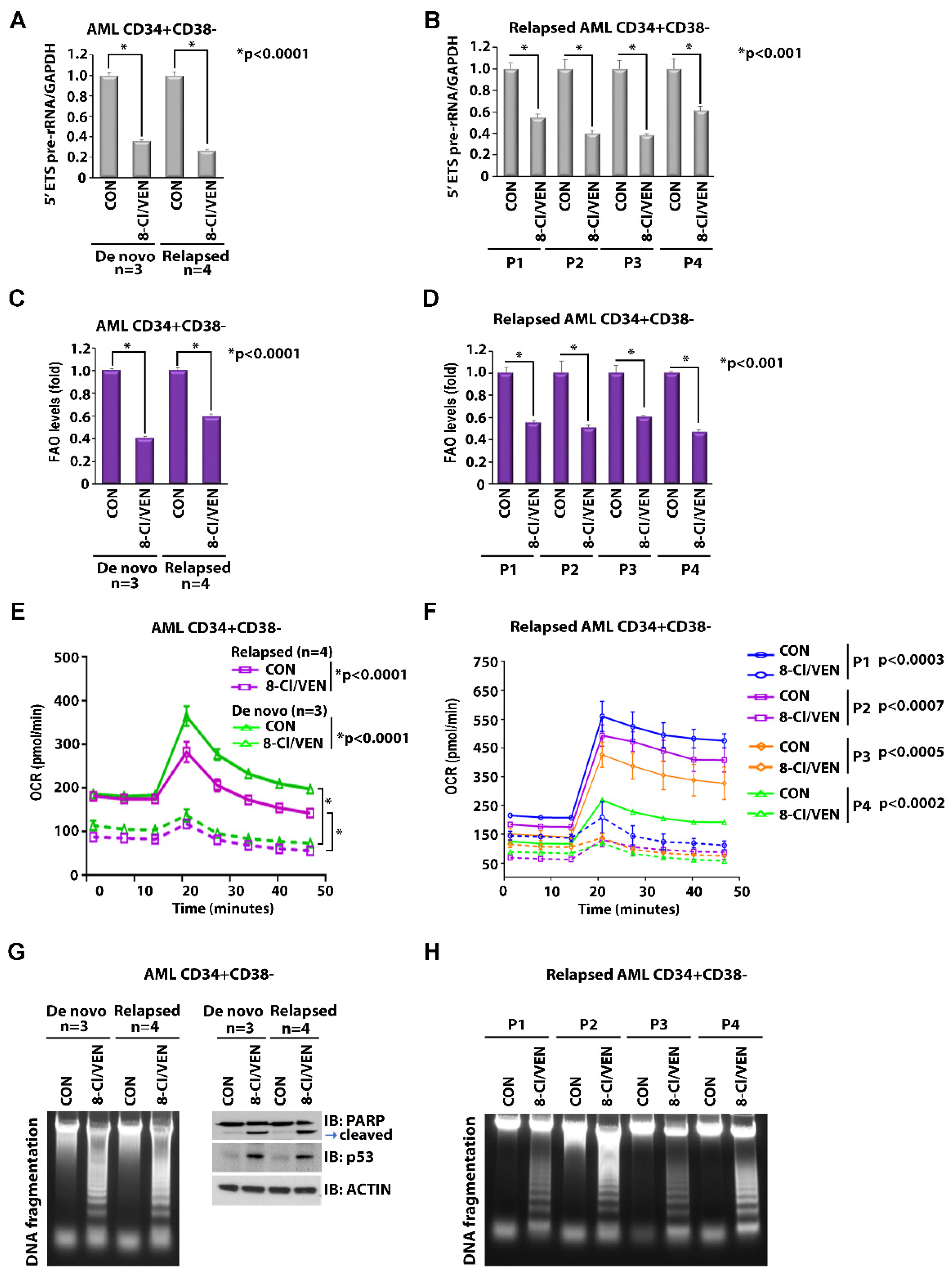 Cancers 14 01446 g006