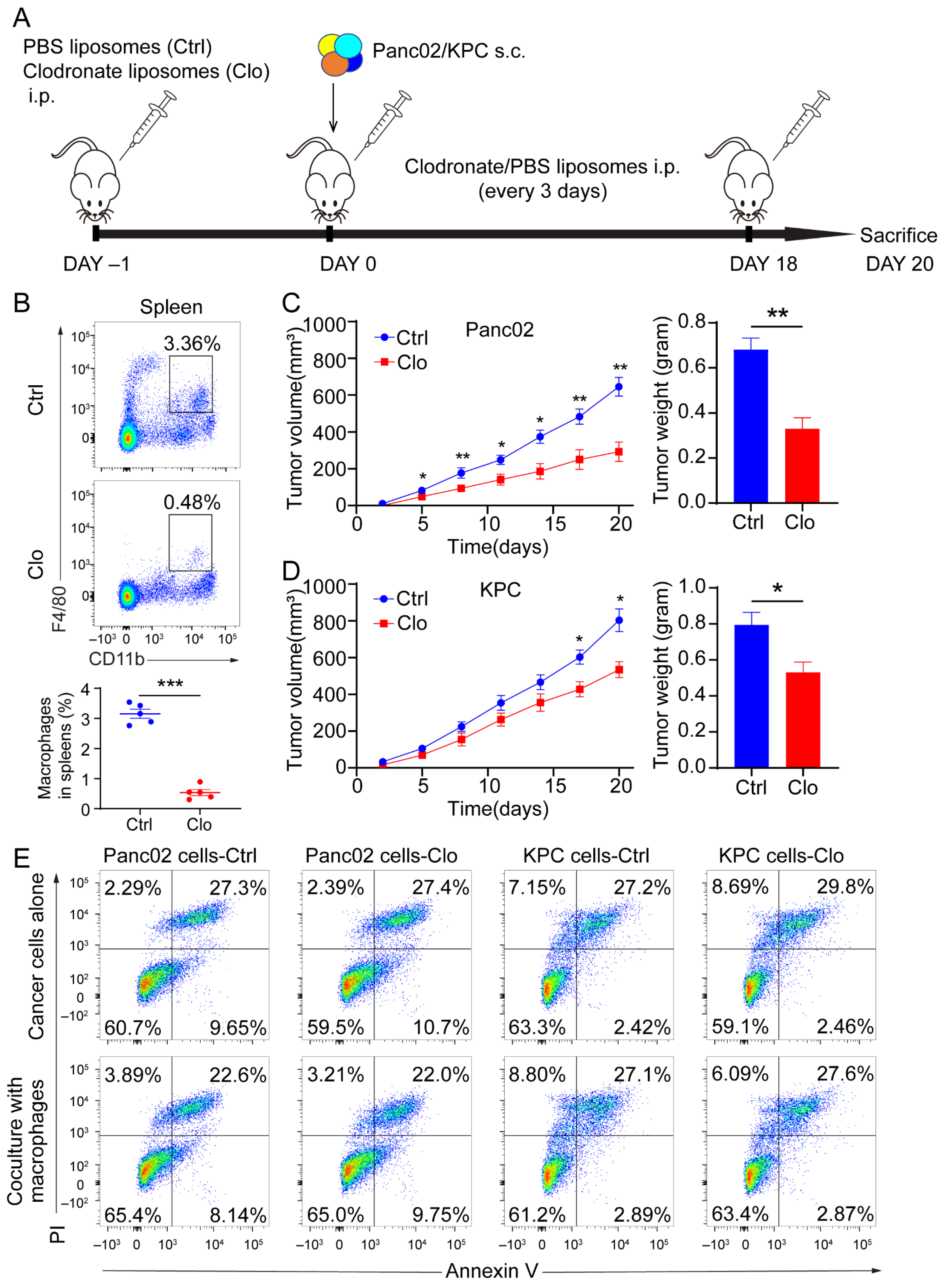 Cancers 14 01474 g002